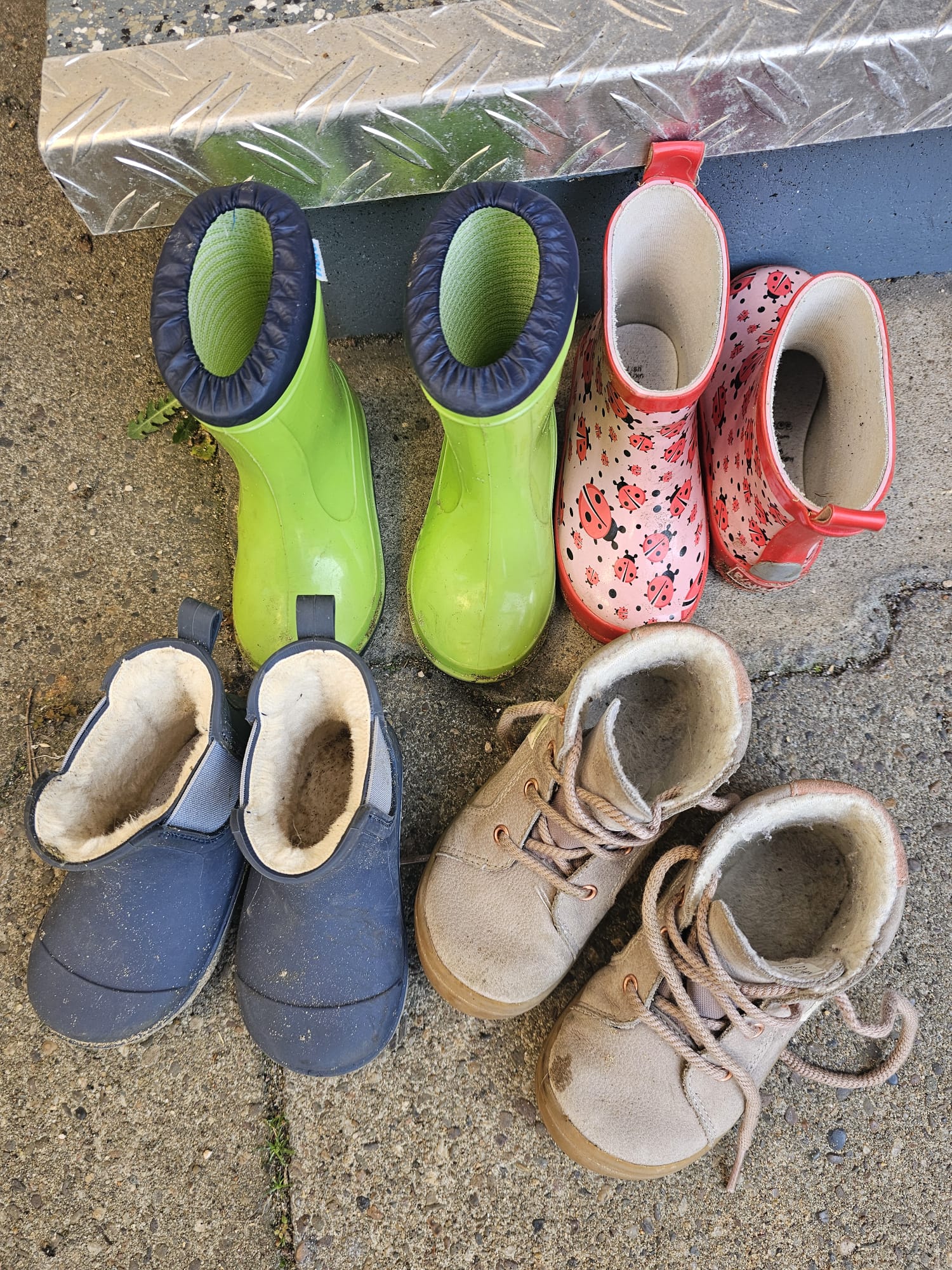 Ein Sandarium für die Wildbienen