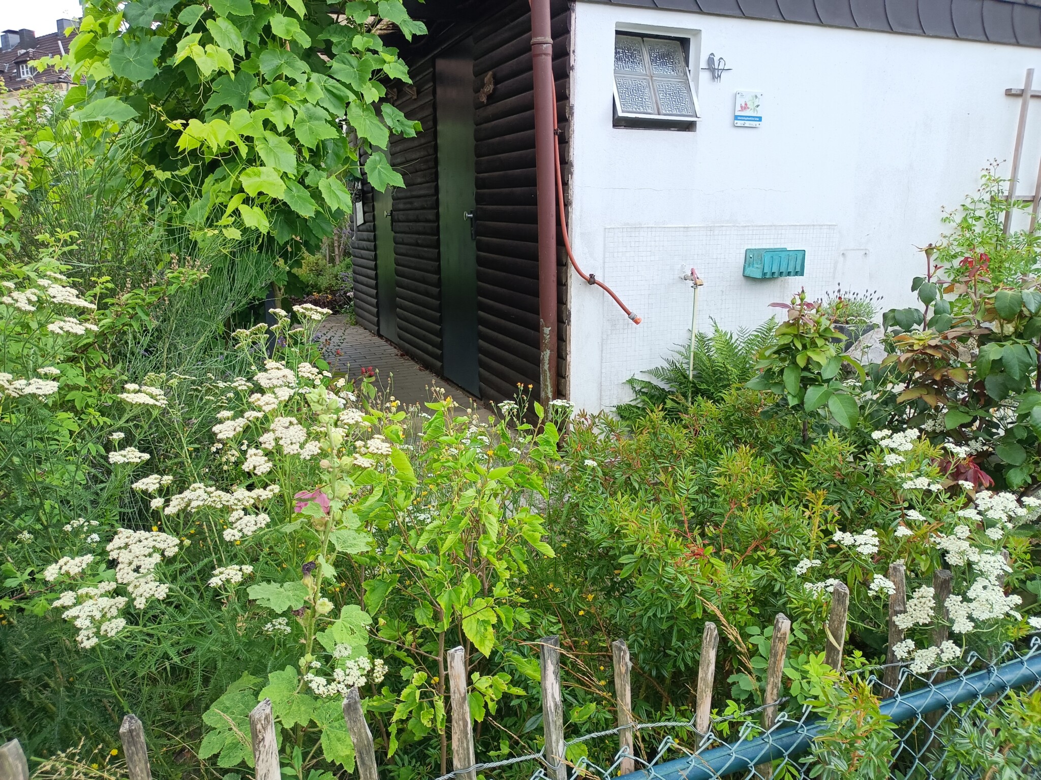 Team 3 – unser naturnaher Kleingarten