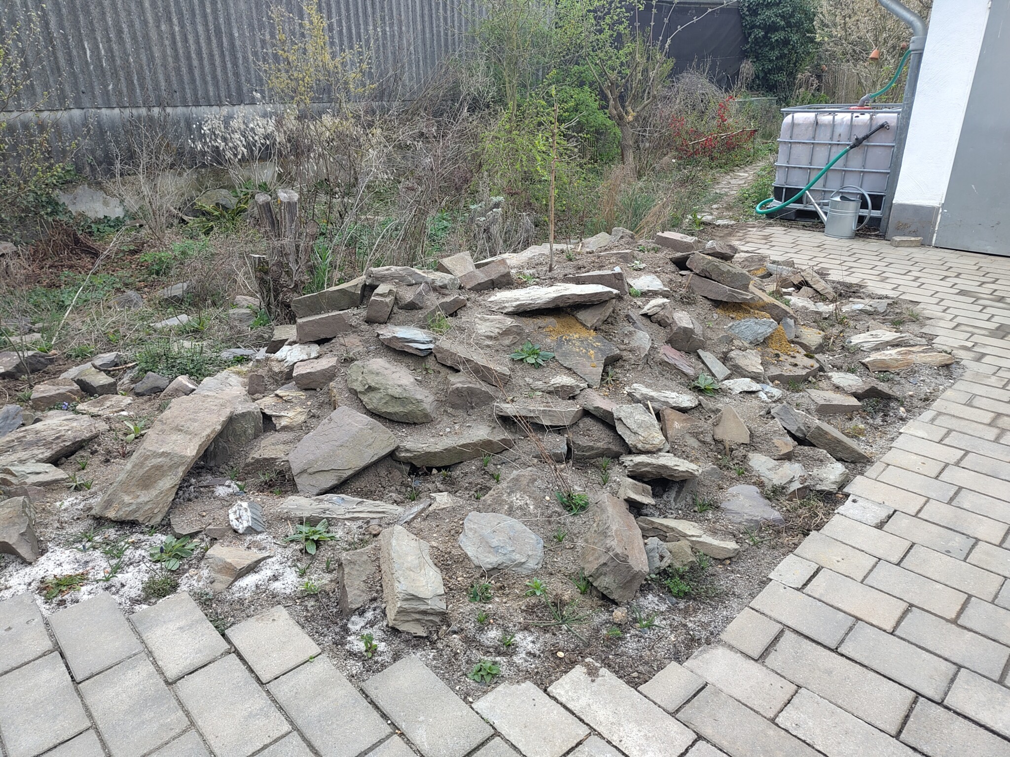 Improvisiertes Hügel-Magerbeet an der Terrasse