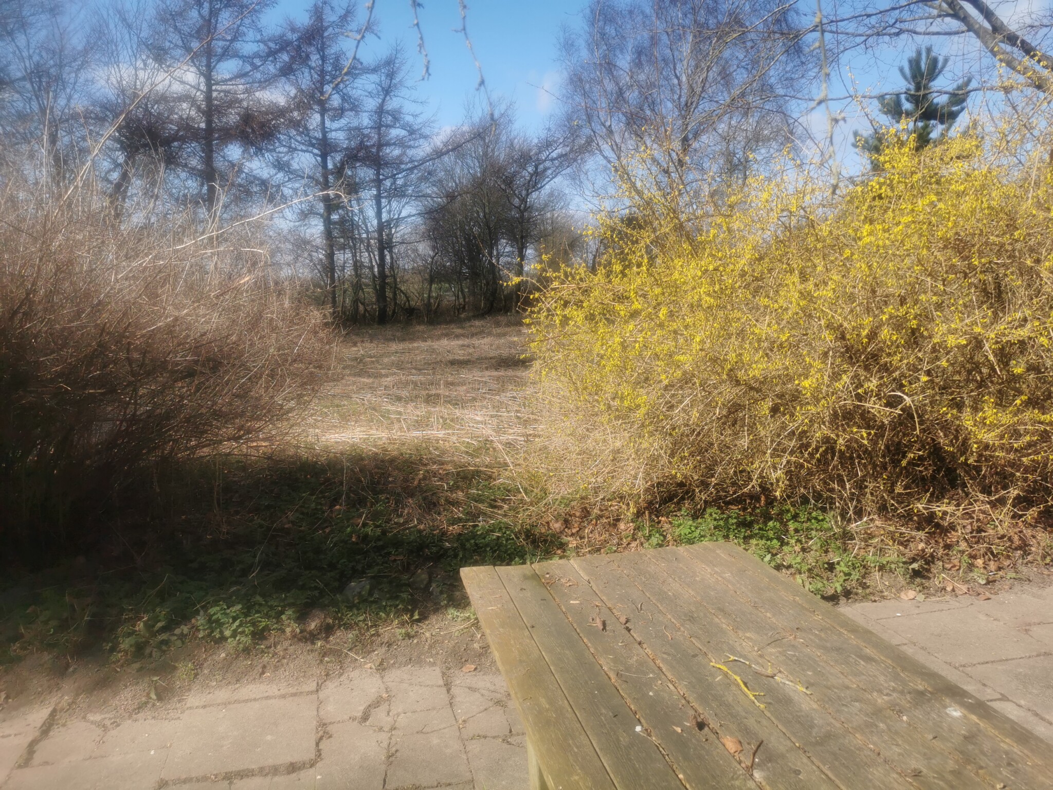 Marienfelde/ Strande