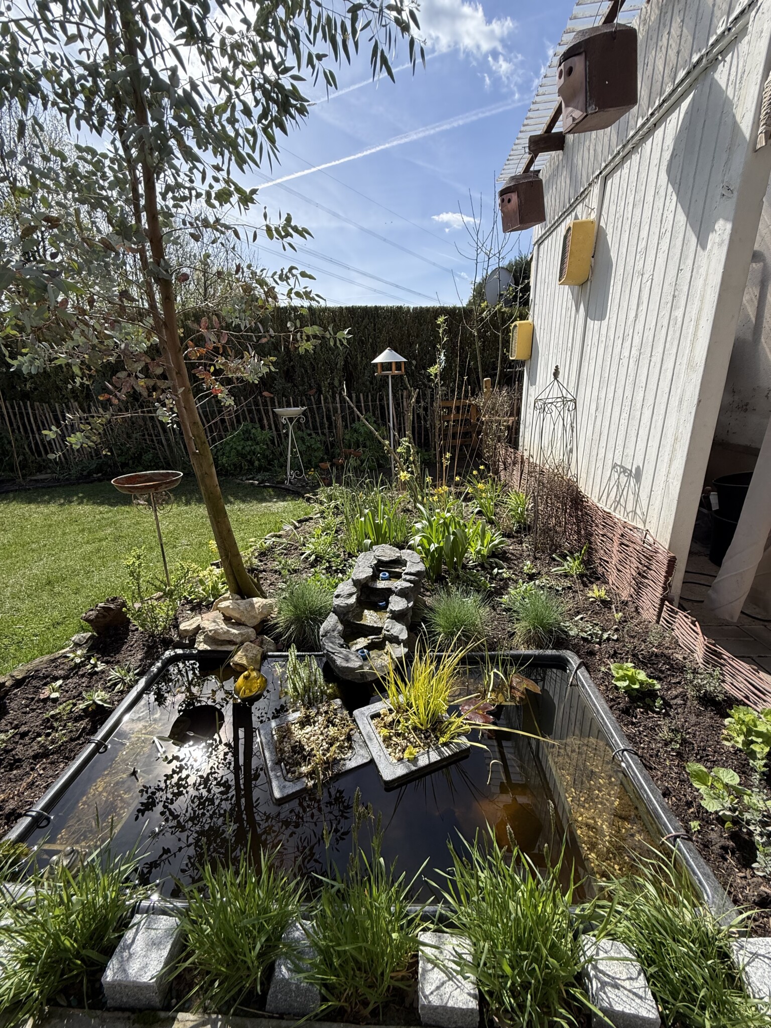 Heimische Umstellung!