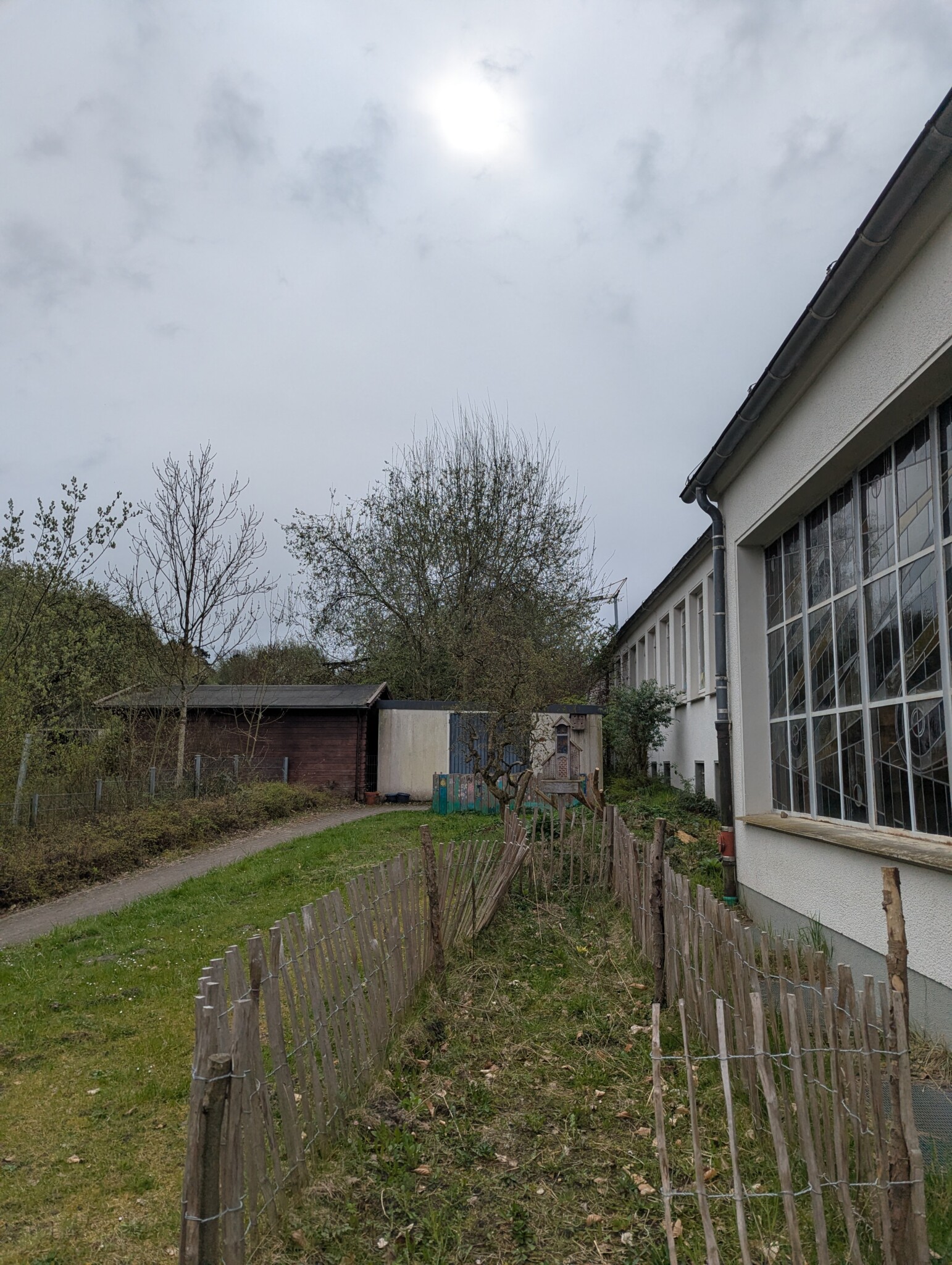 "Flügelschlag und Blütenpracht" – Wir machen den Schulgarten fit für Insekten