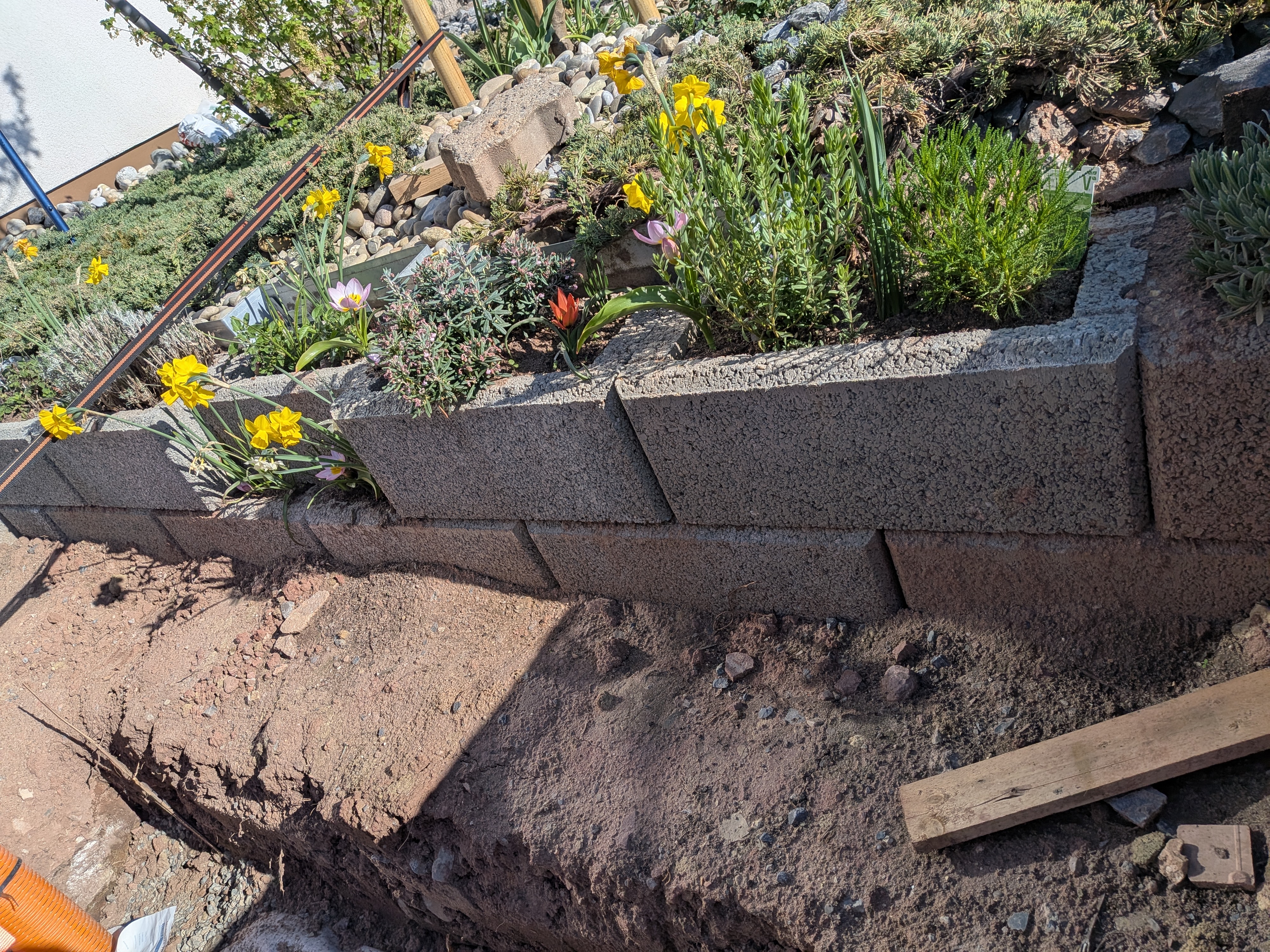 Aus einer Umrandung für eine Wärmepumpe wird eine blühende Insektenoase