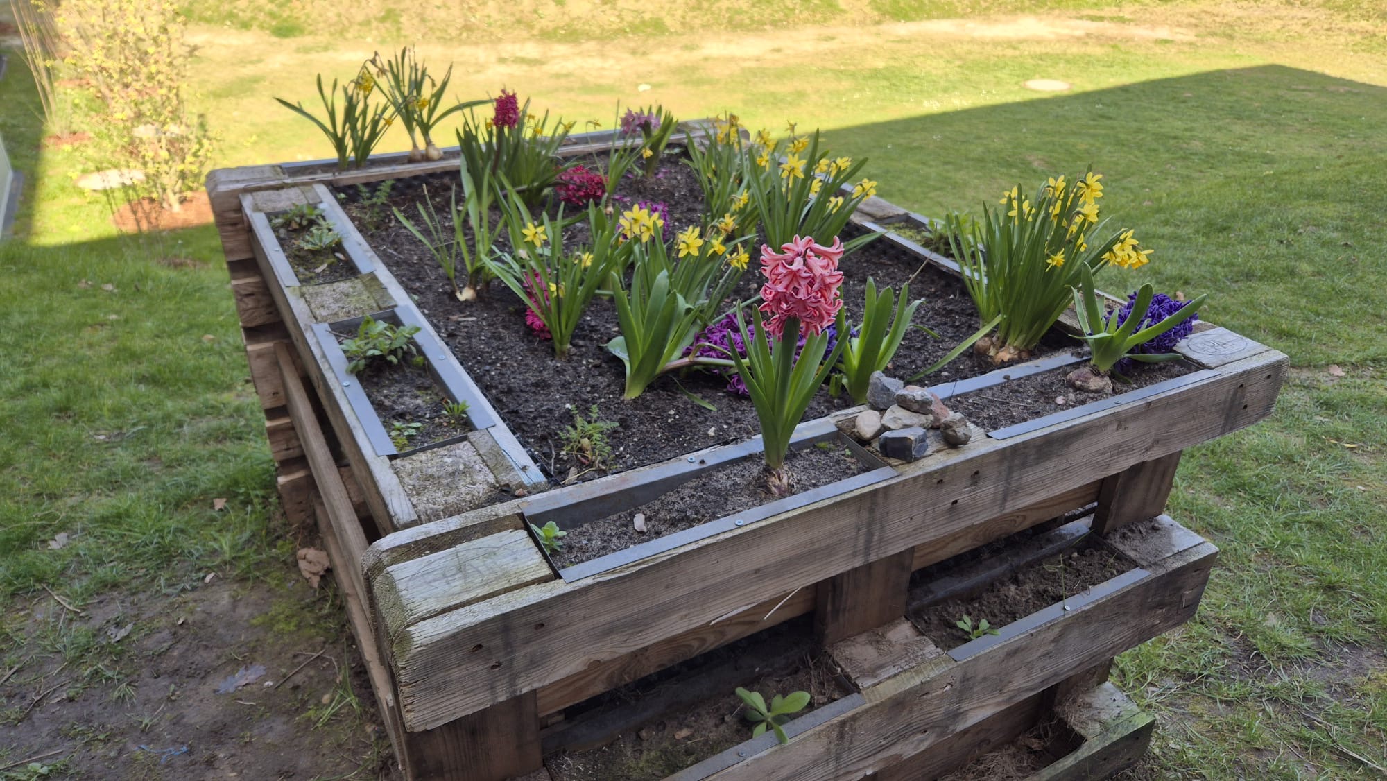 Inklusive Schule – inklusive Lebensräume für die Tierwelt