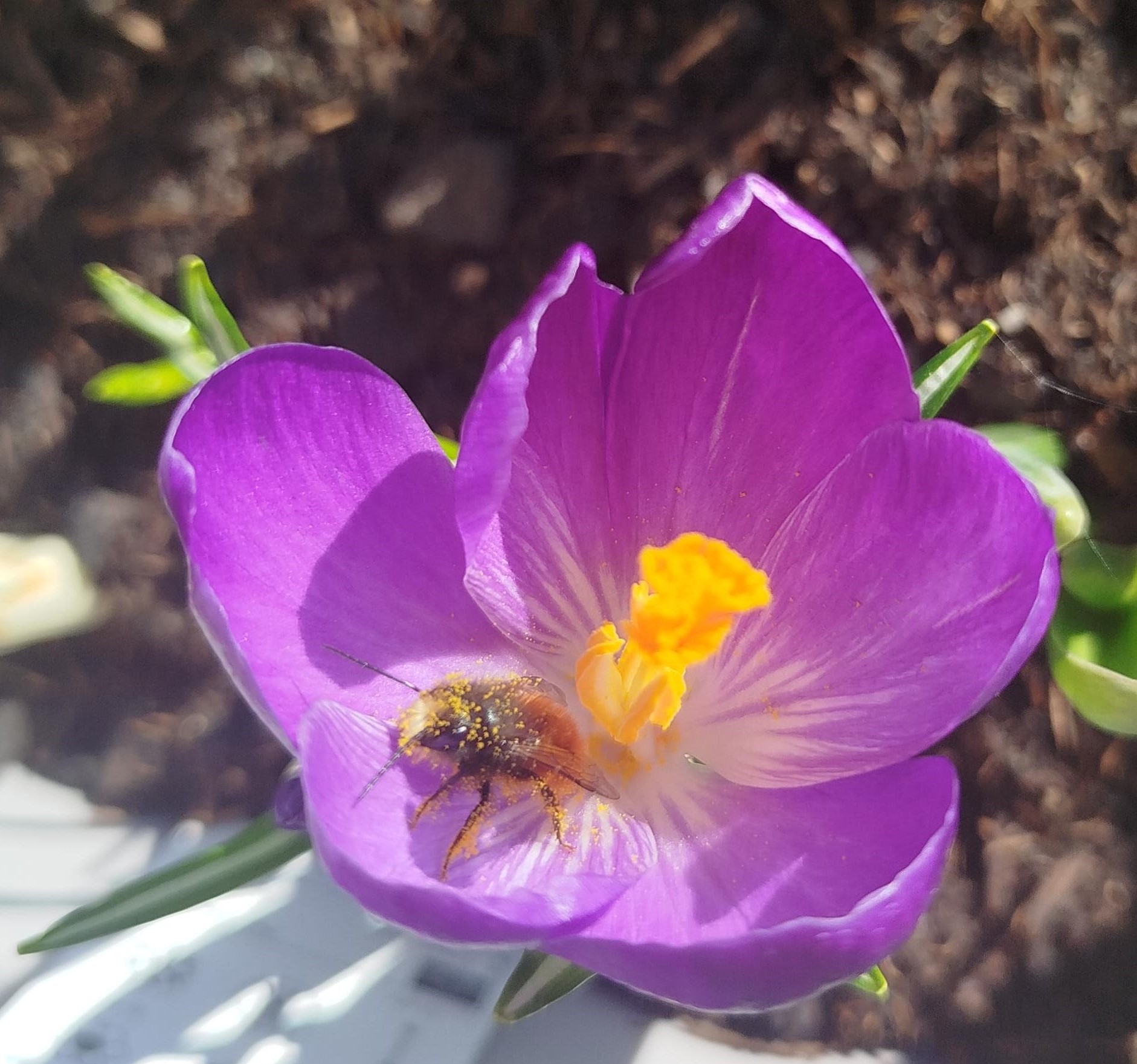 Kleiner Balkon, große Wirkung!