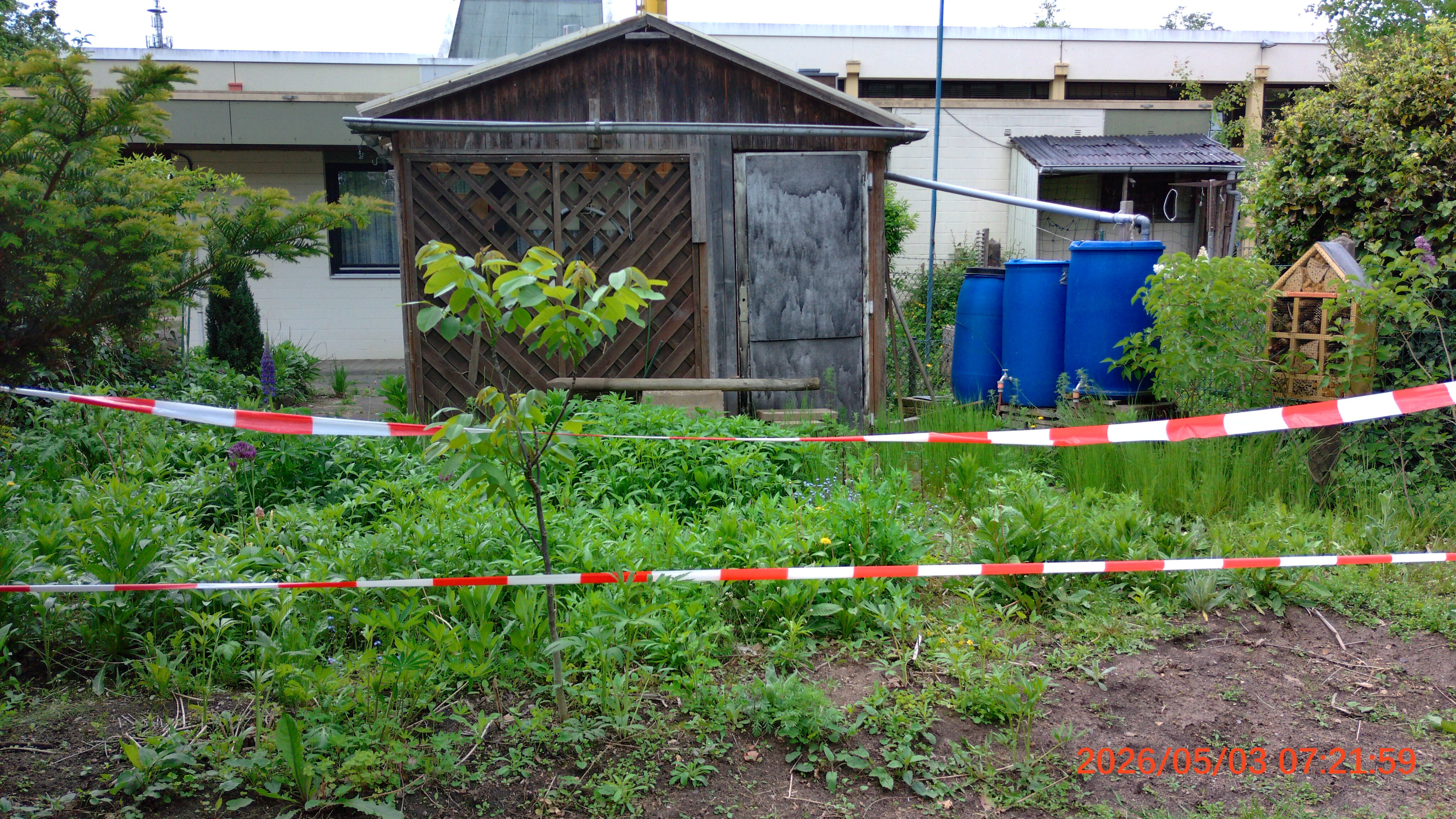 Der bunte Insektengarten des Blauen Hauses