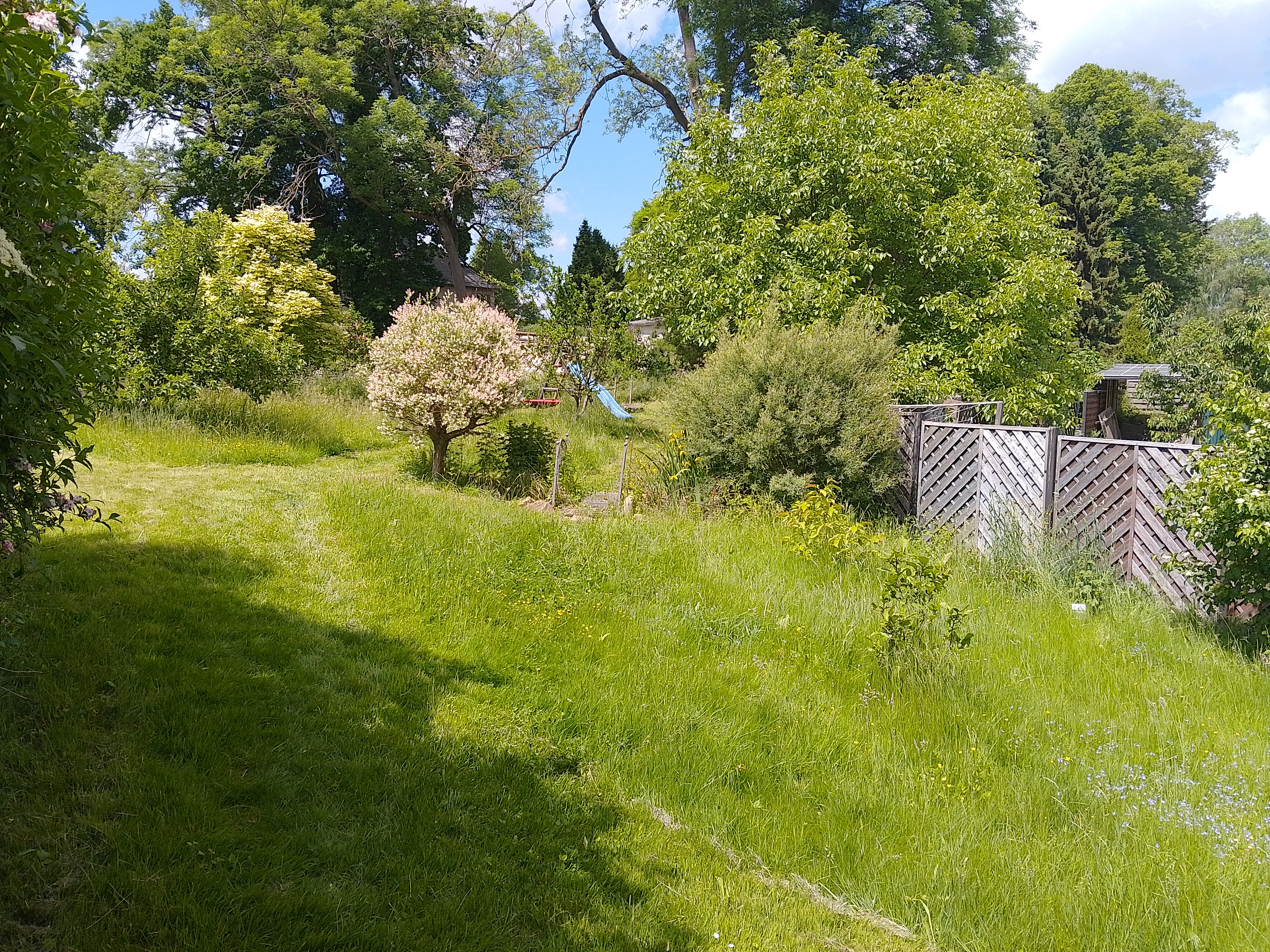 Naturnaher Hausgarten in Pleißa
