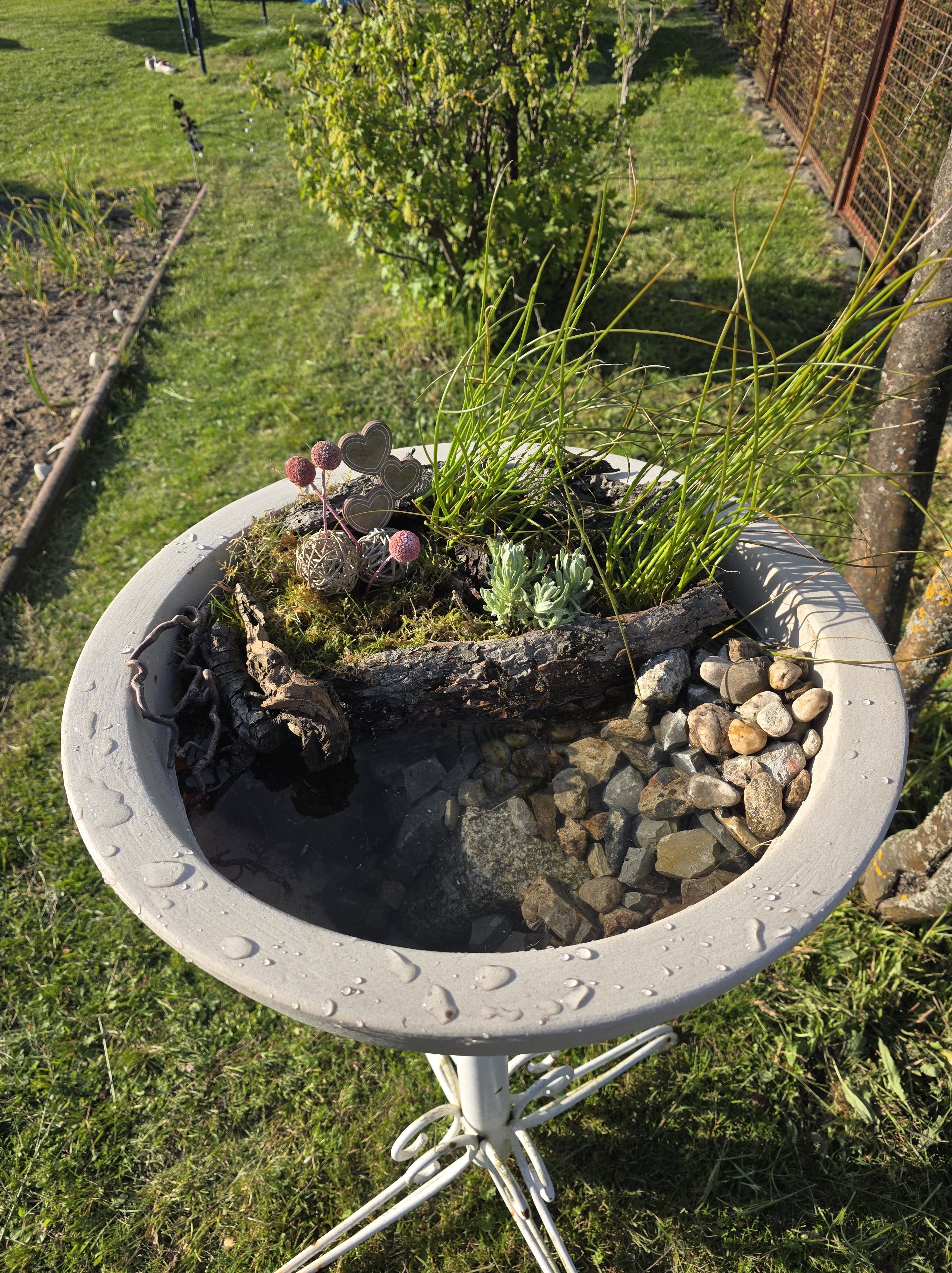 Vogel und Insektentränke