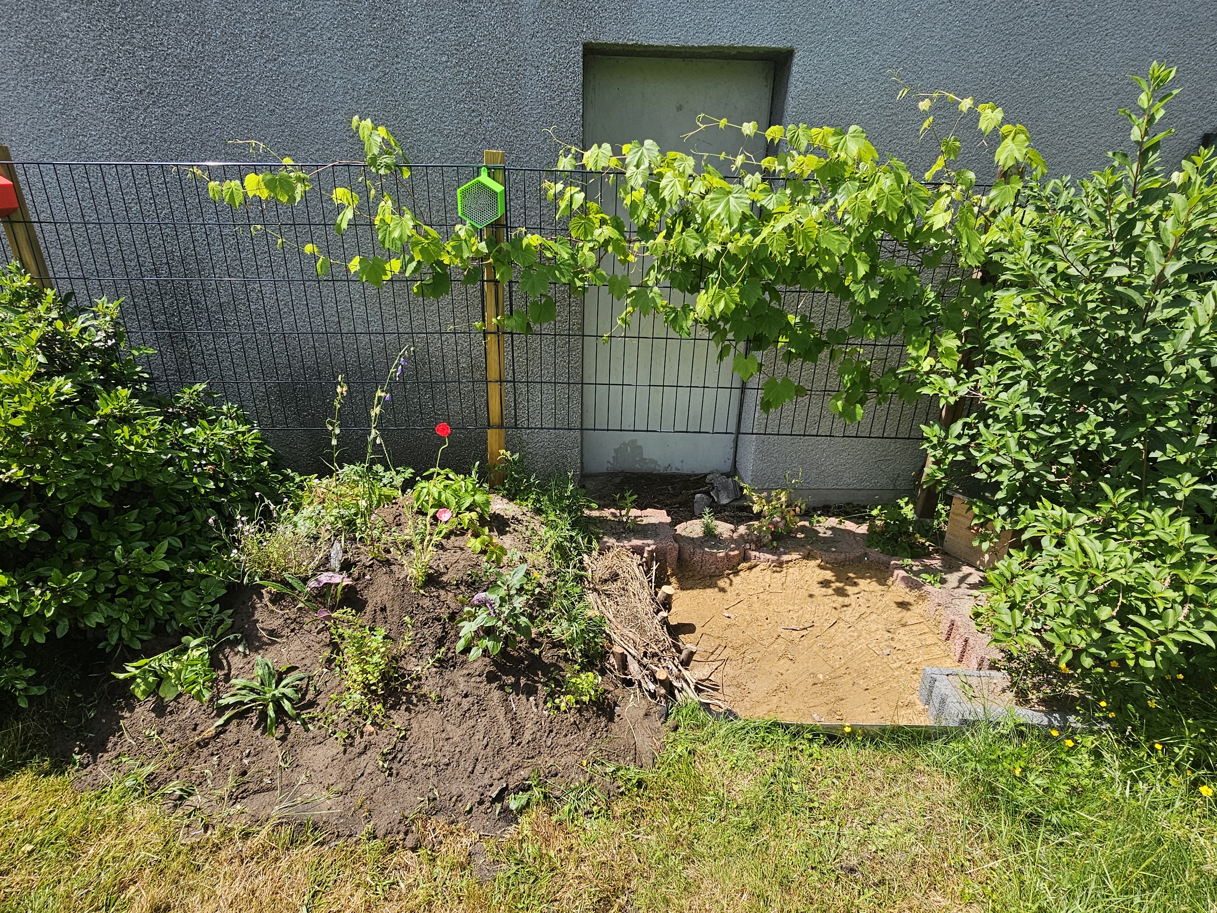 Ein Sandarium für die Wildbienen