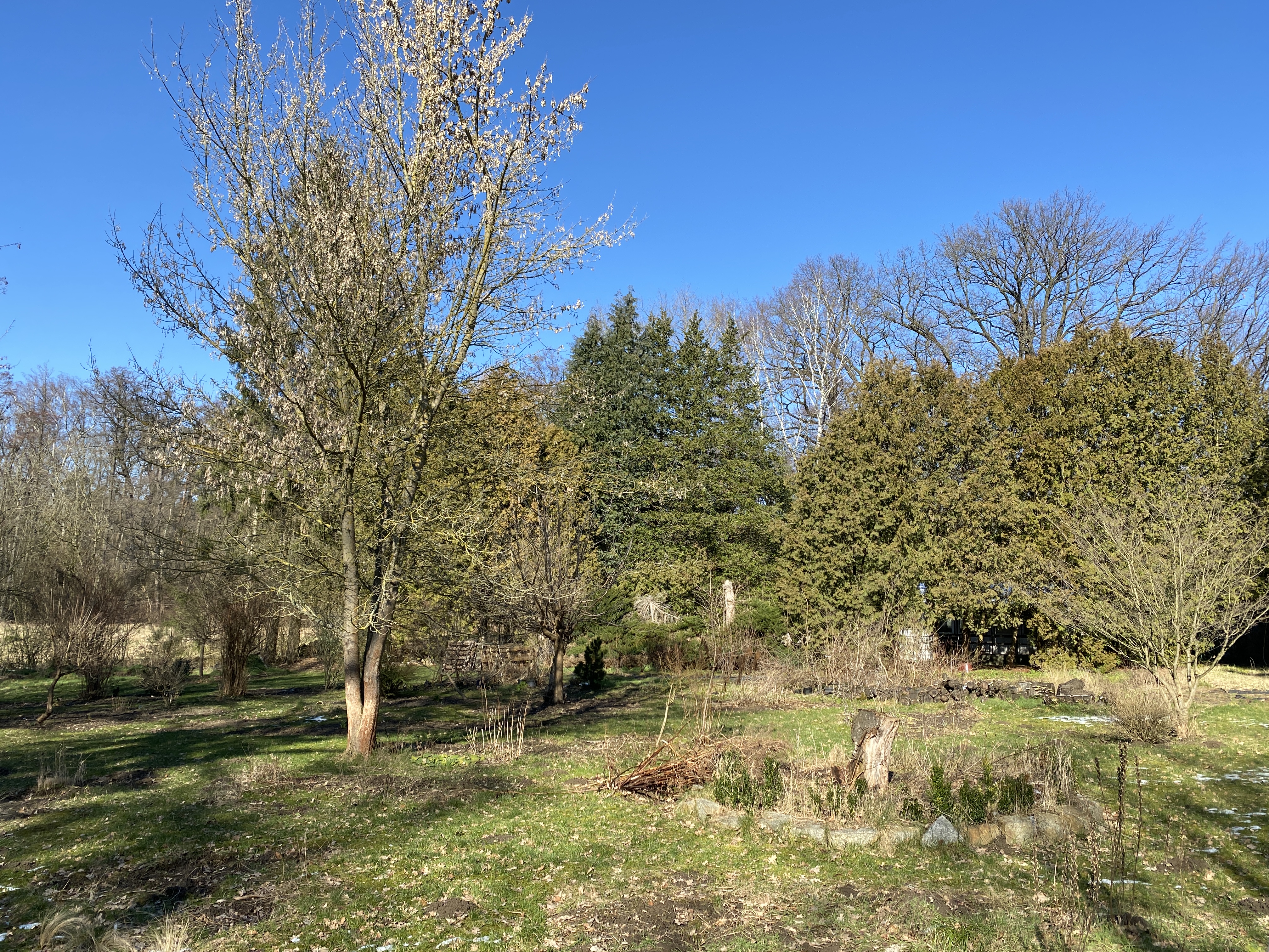 Otti Erlebnisgarten- Zwischen Blüten, Brummen und kleinen Wundern