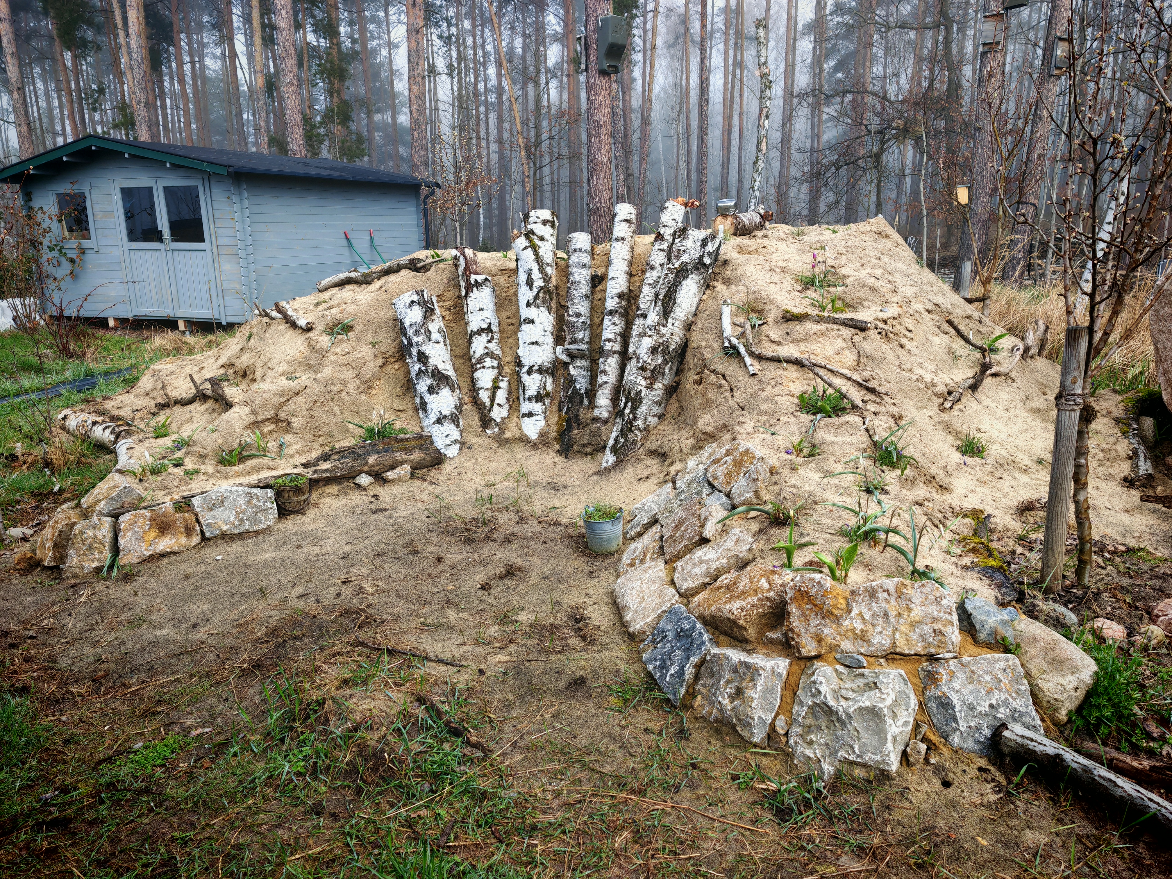 Birch of Thrones