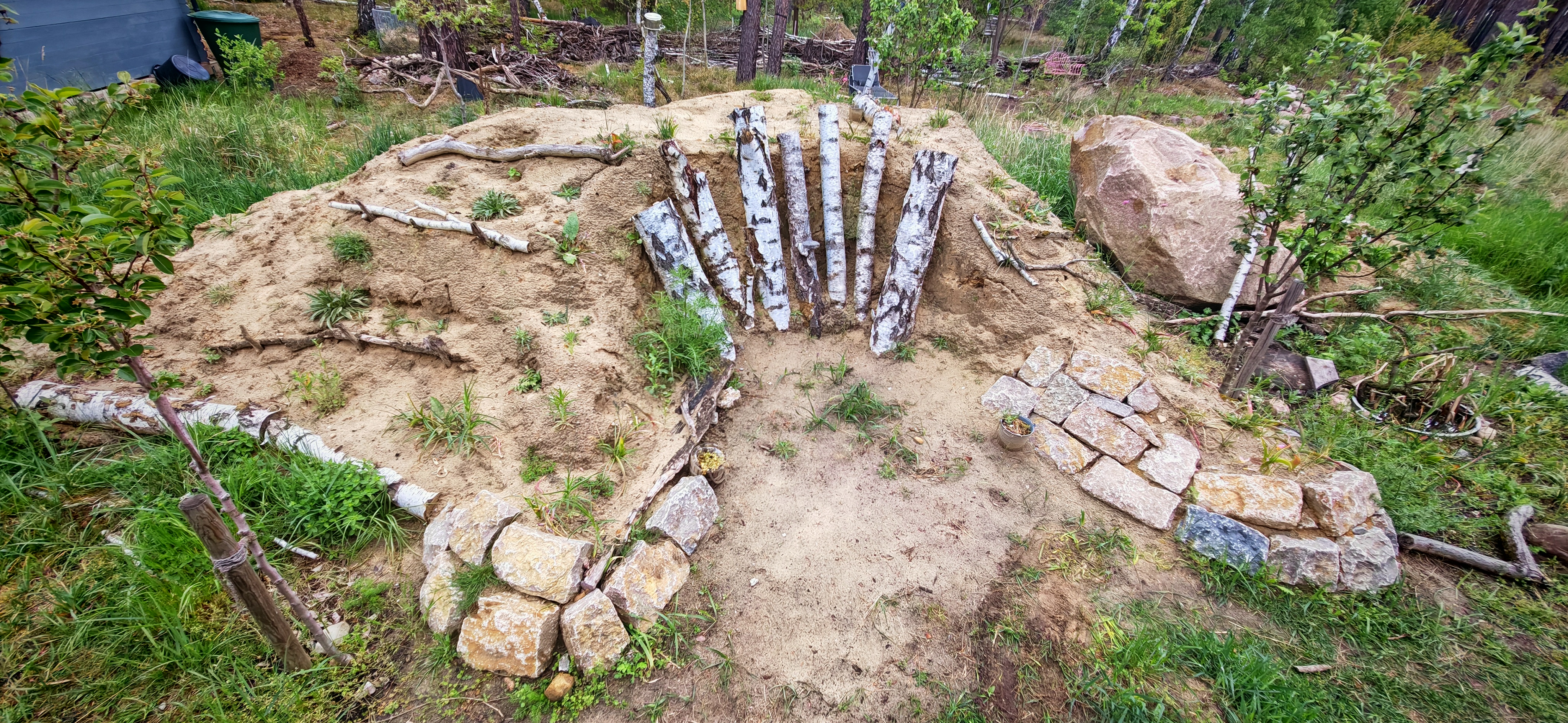 Birch of Thrones