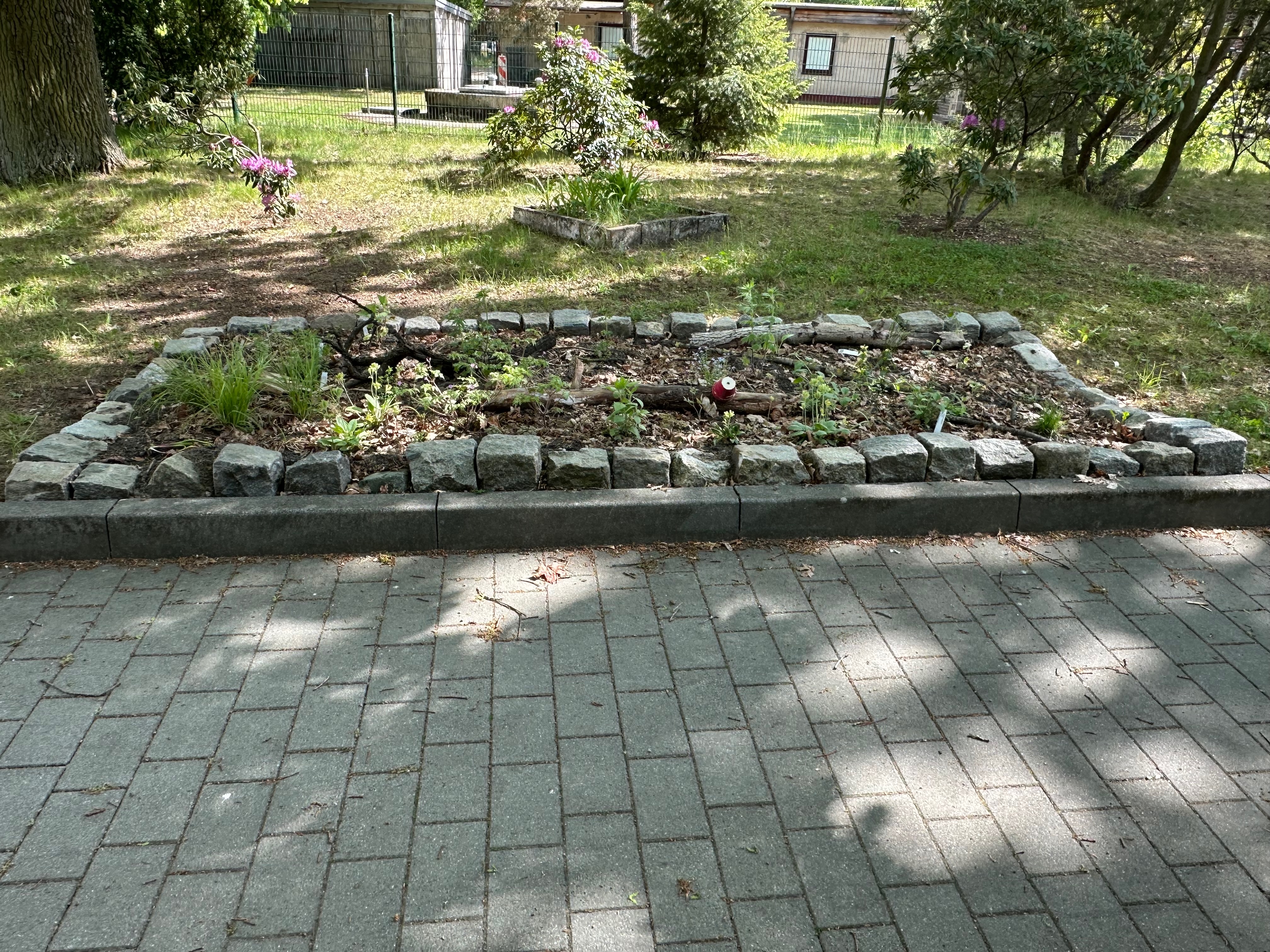Waldbeet im ClaB