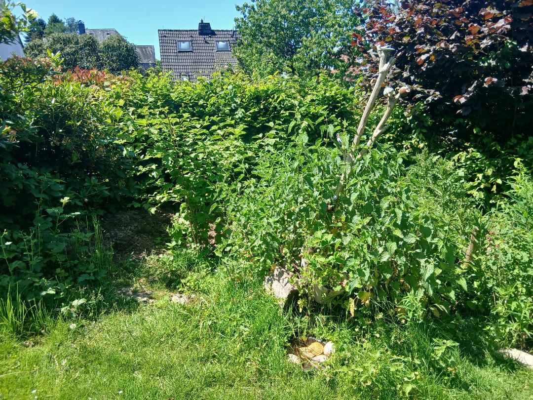 Ein Garten antwortet