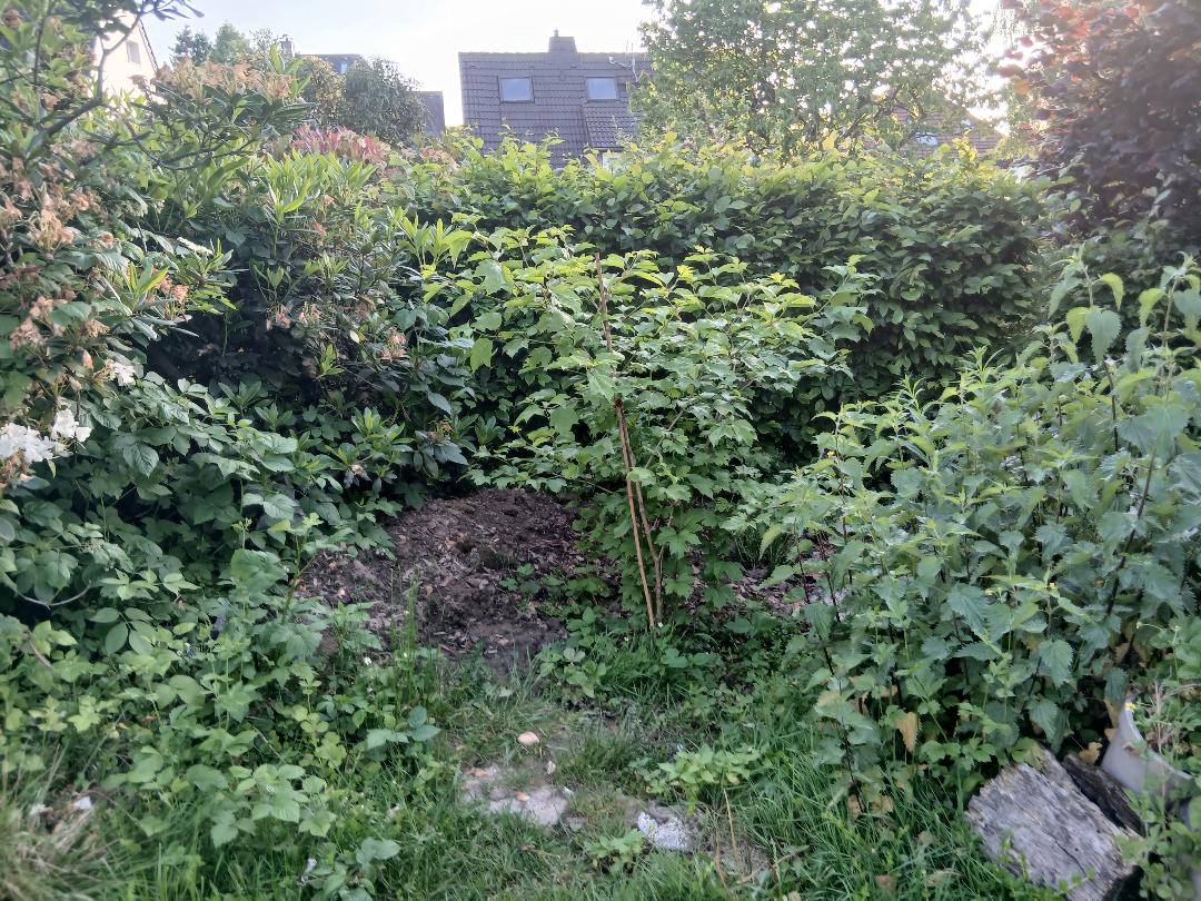 Ein Garten antwortet