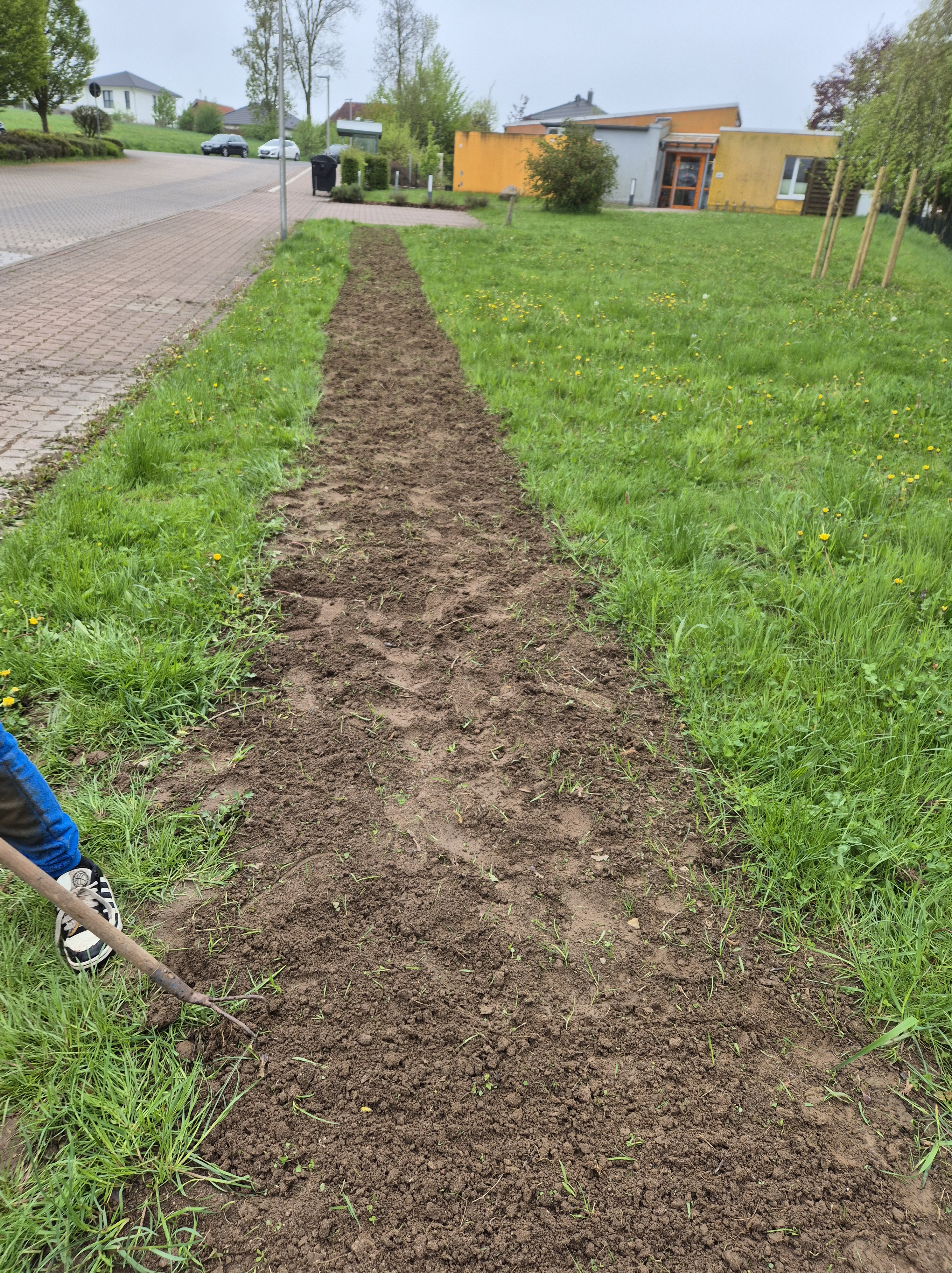 Blühstreifen Grundschule am Rosenbusch