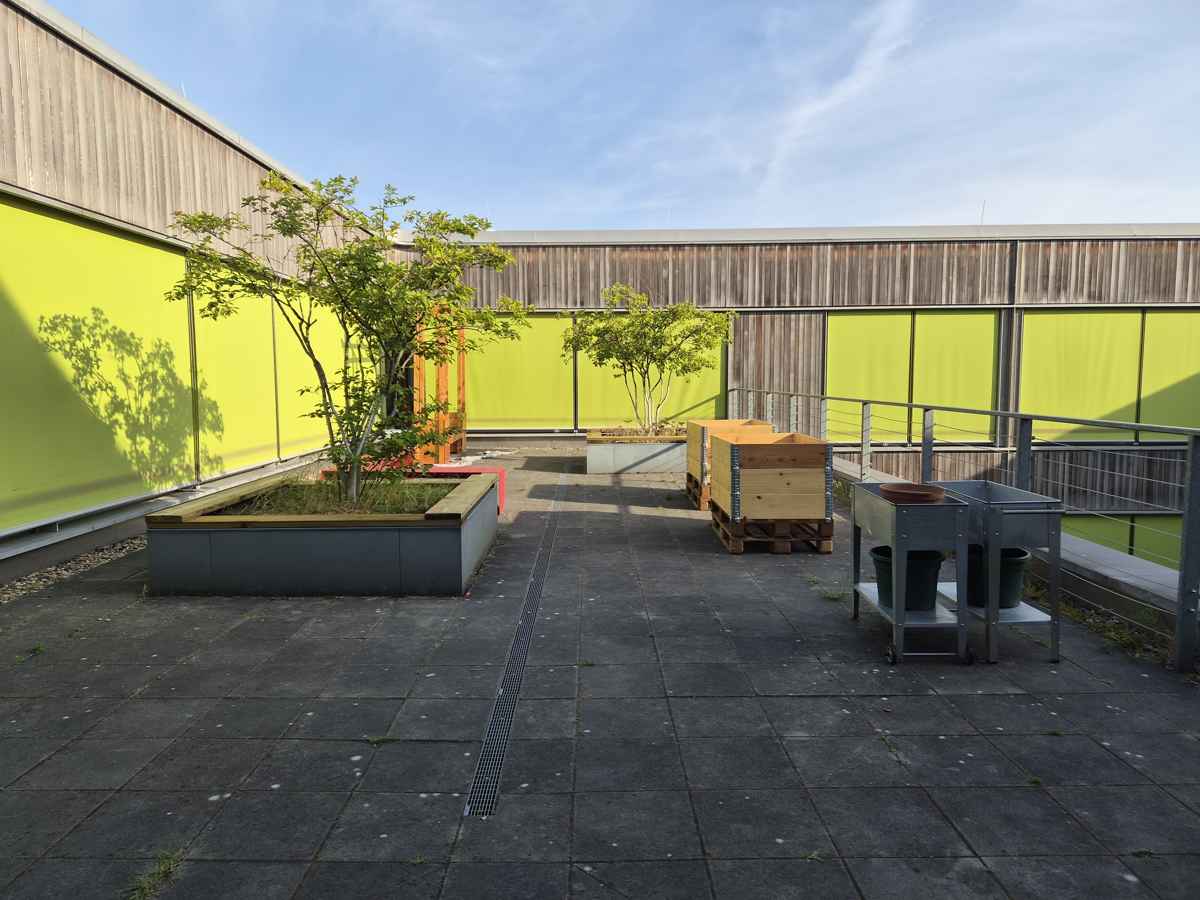 Bib-Terrasse wird endlich grün!