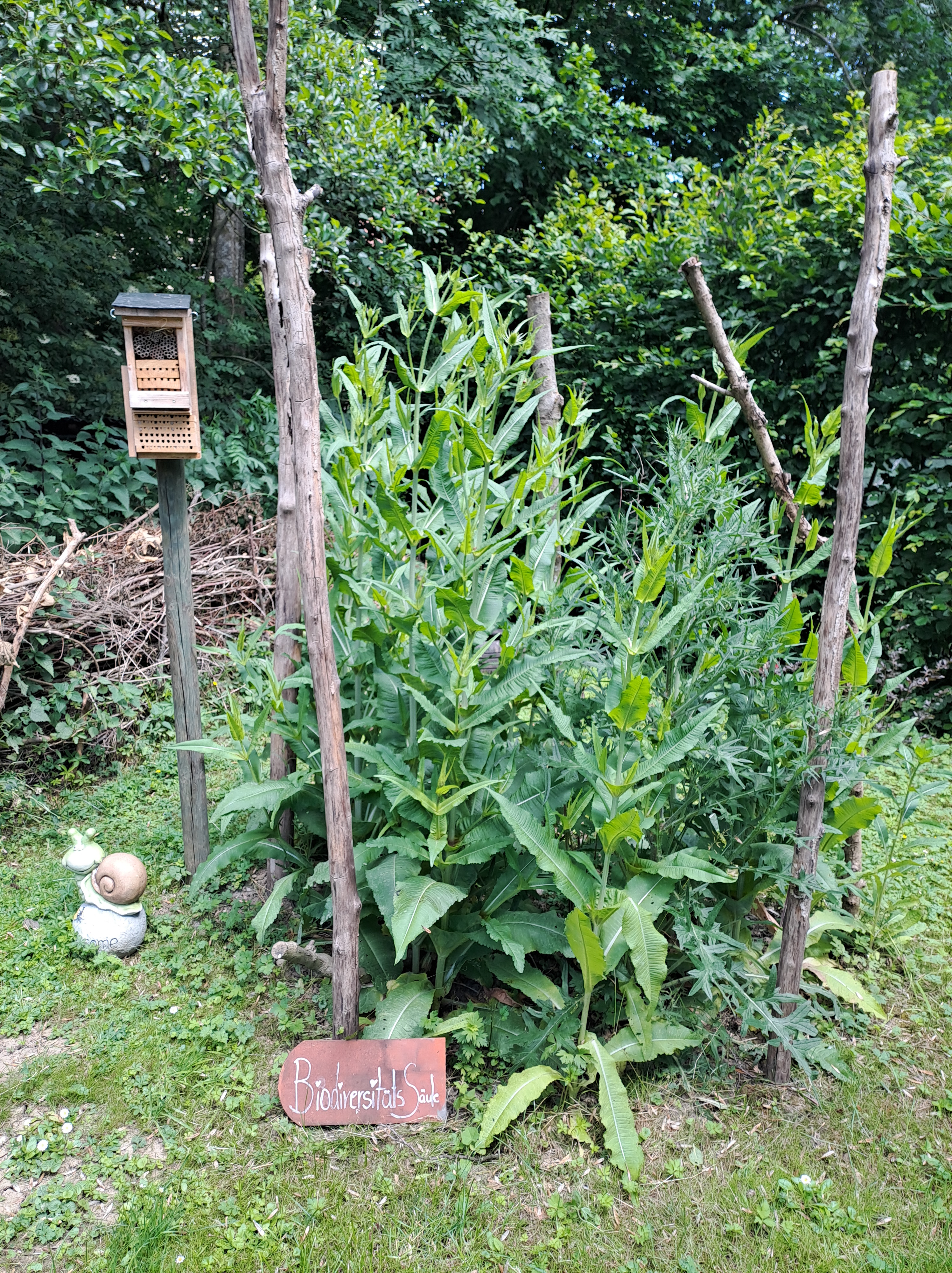 Biodiversitätssäule im Dorf 7