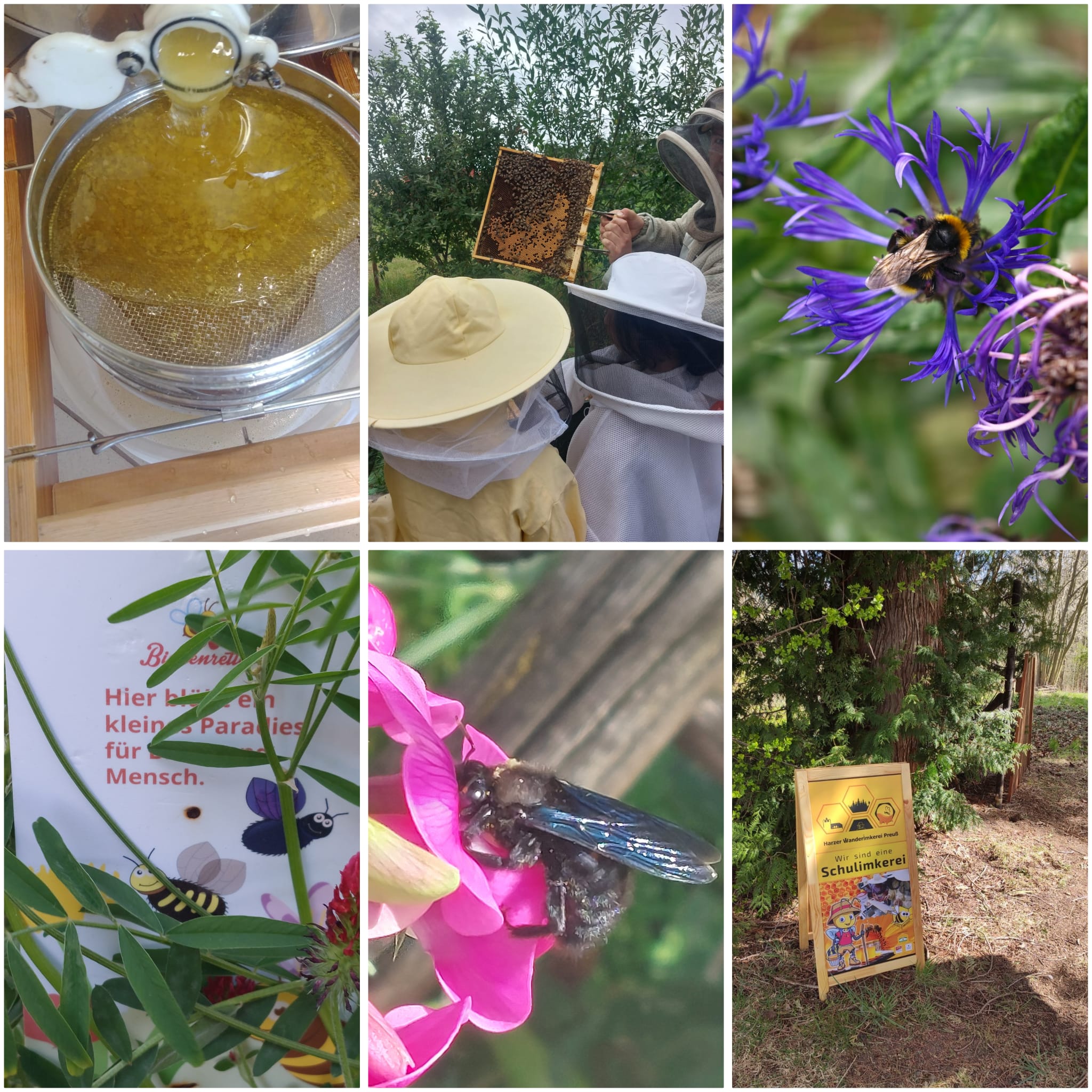 Herzlich Willkommen liebe Bienen