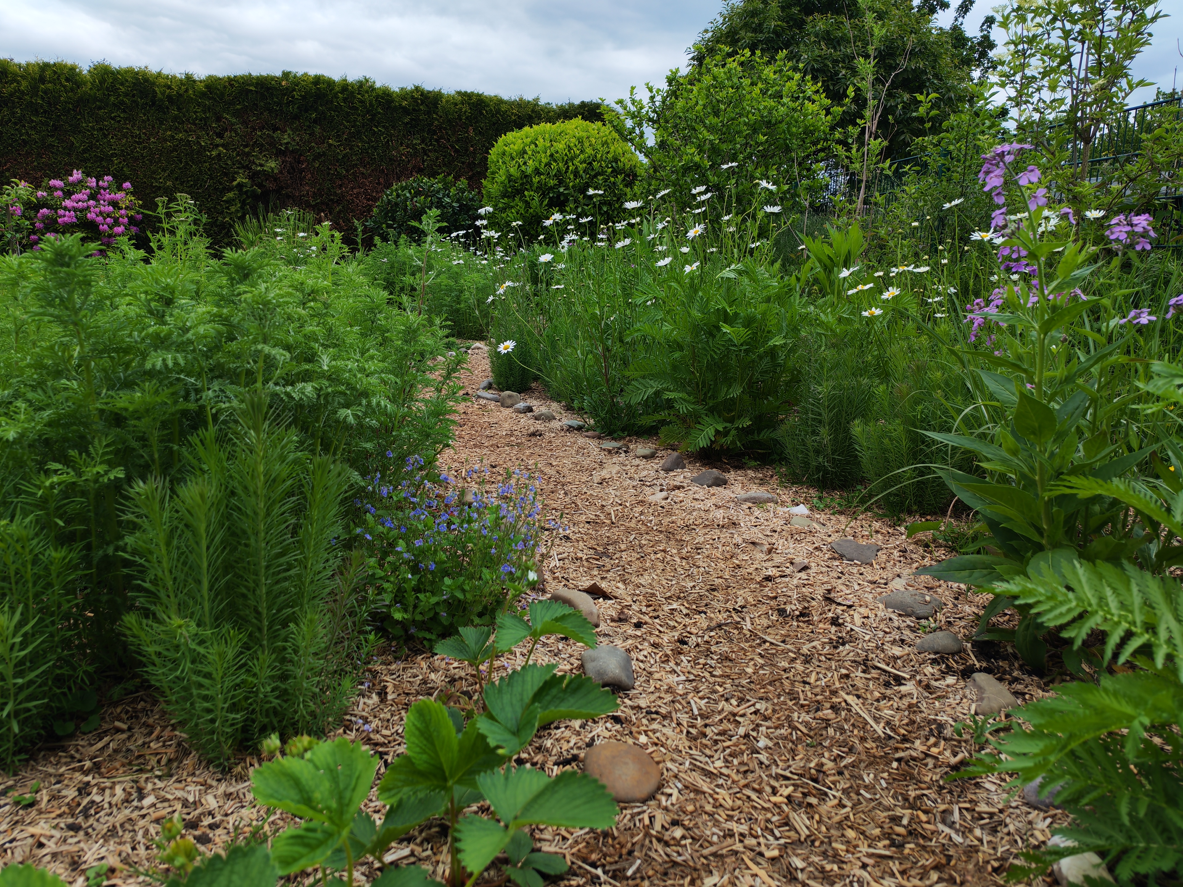Next Generation Nature Gardening