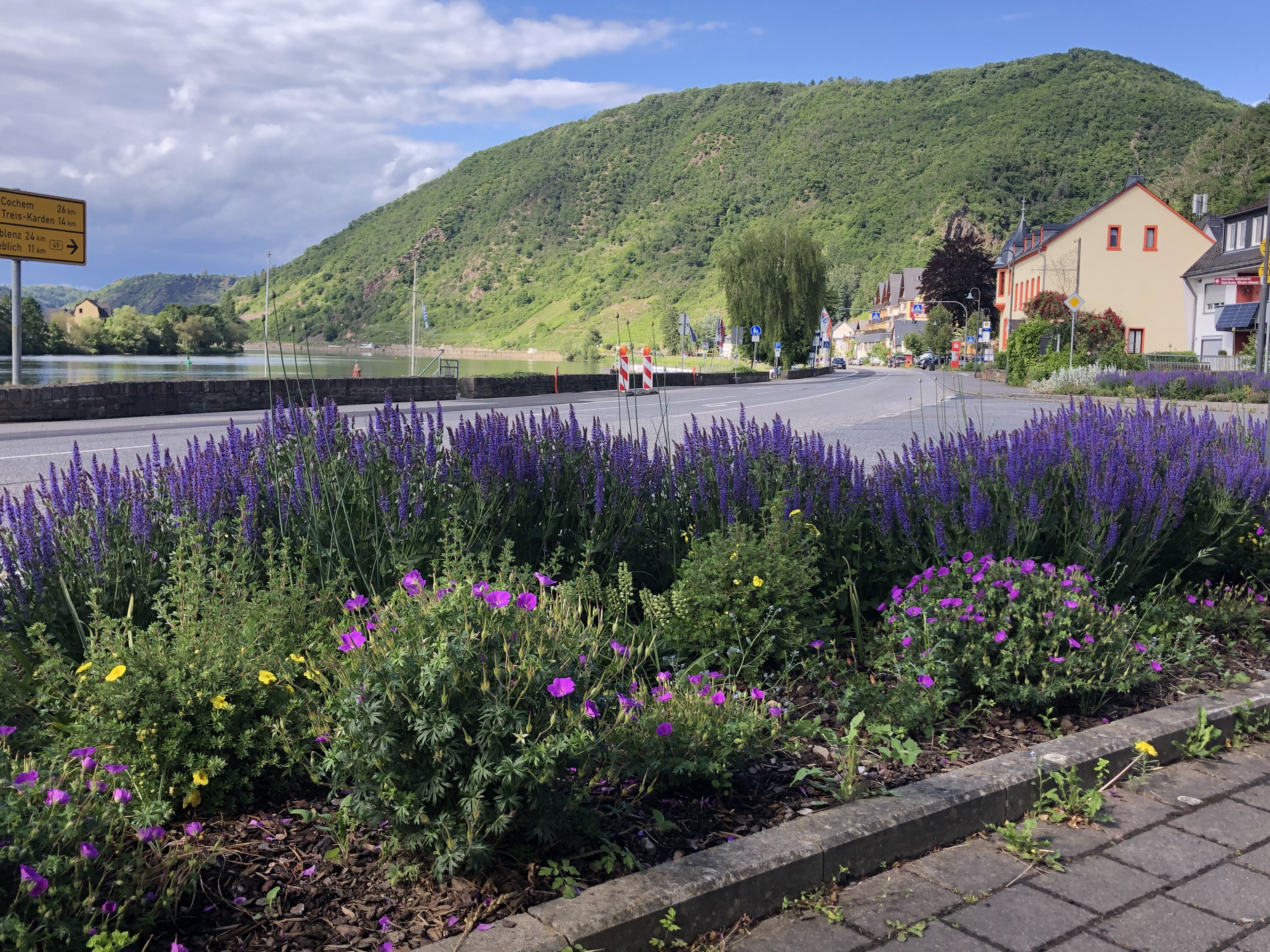 Summende Mosel