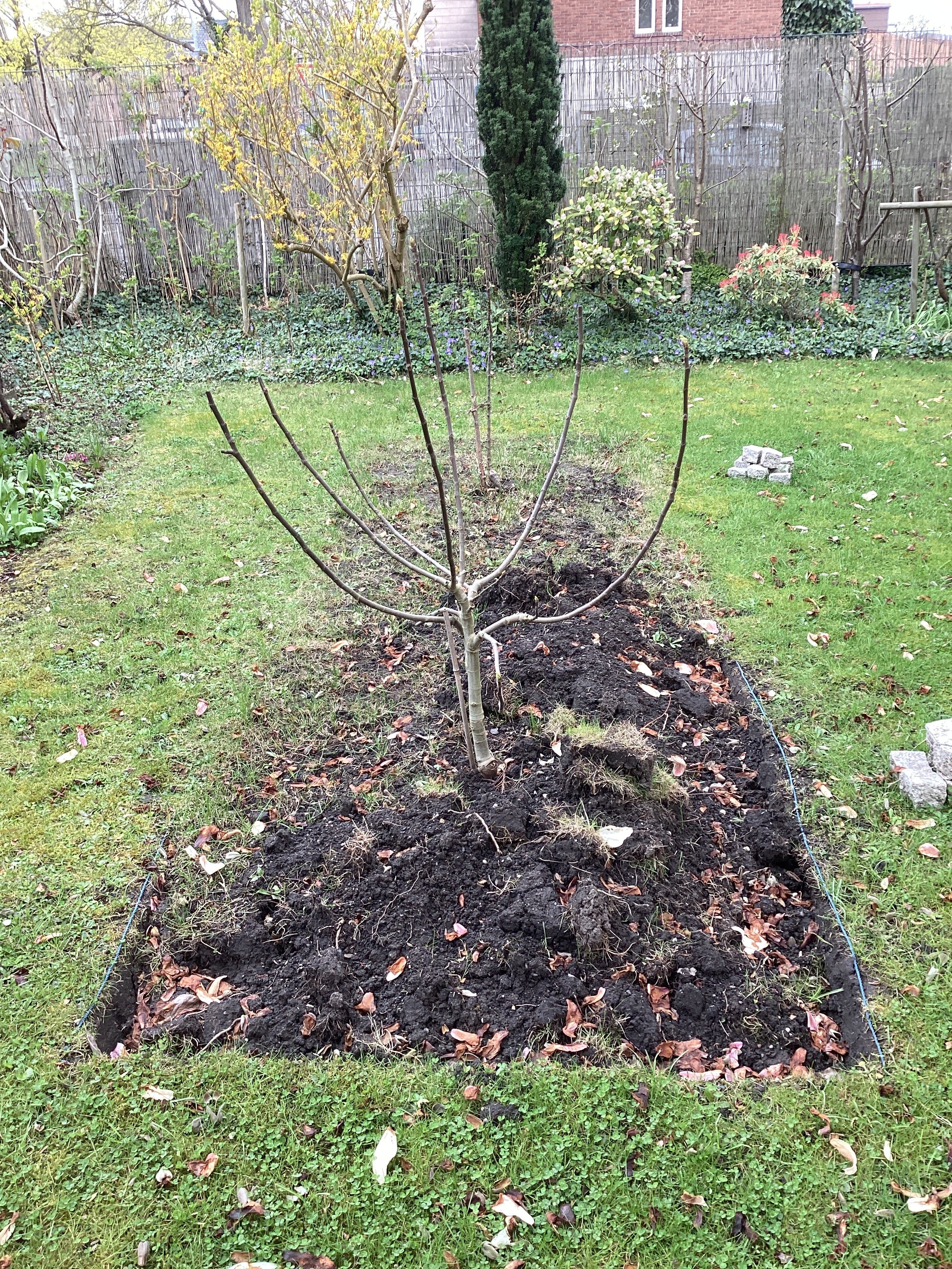 Bunt gemischtes Beet statt Rasen