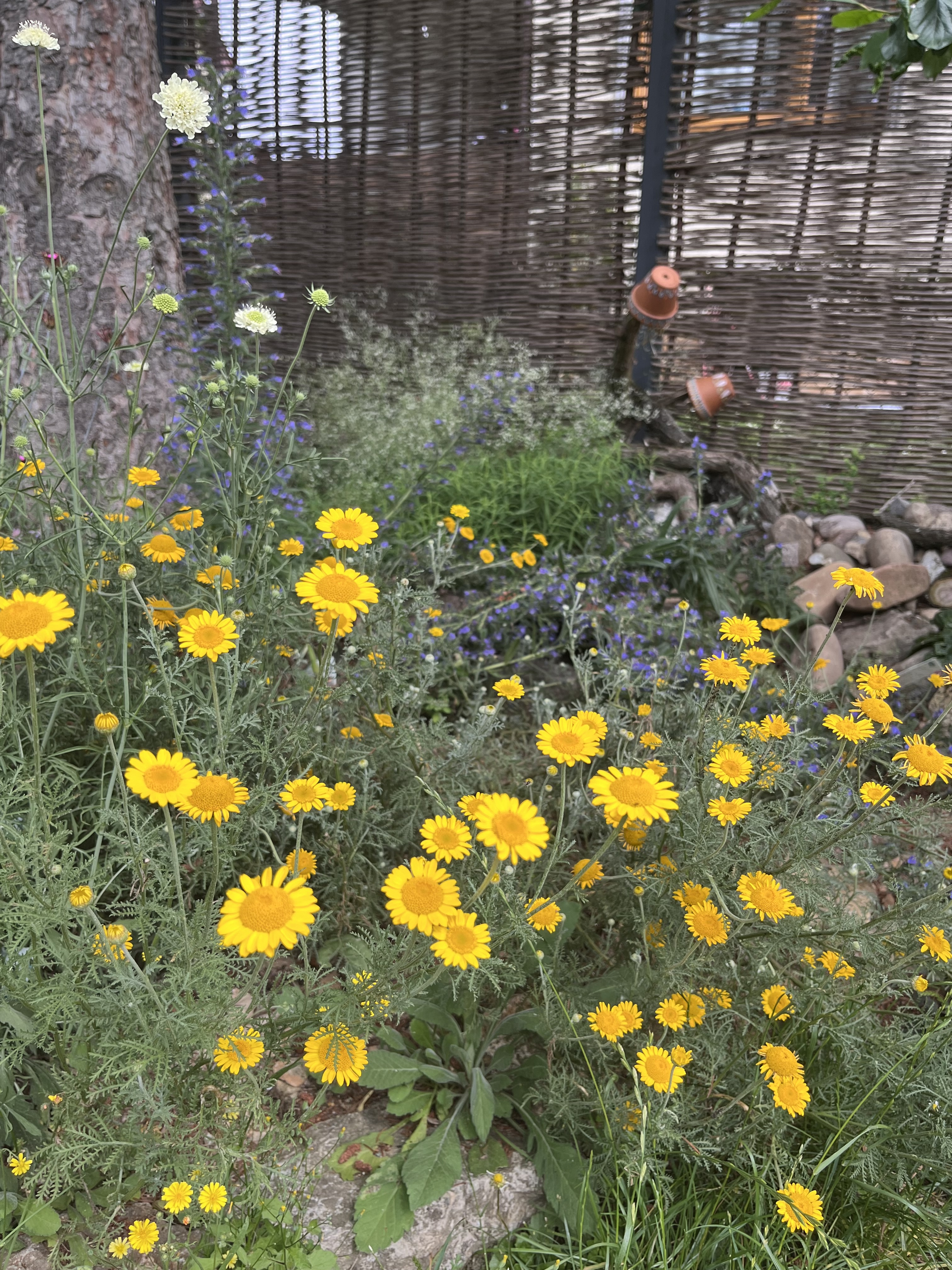 Mein kleiner Hortus Animae