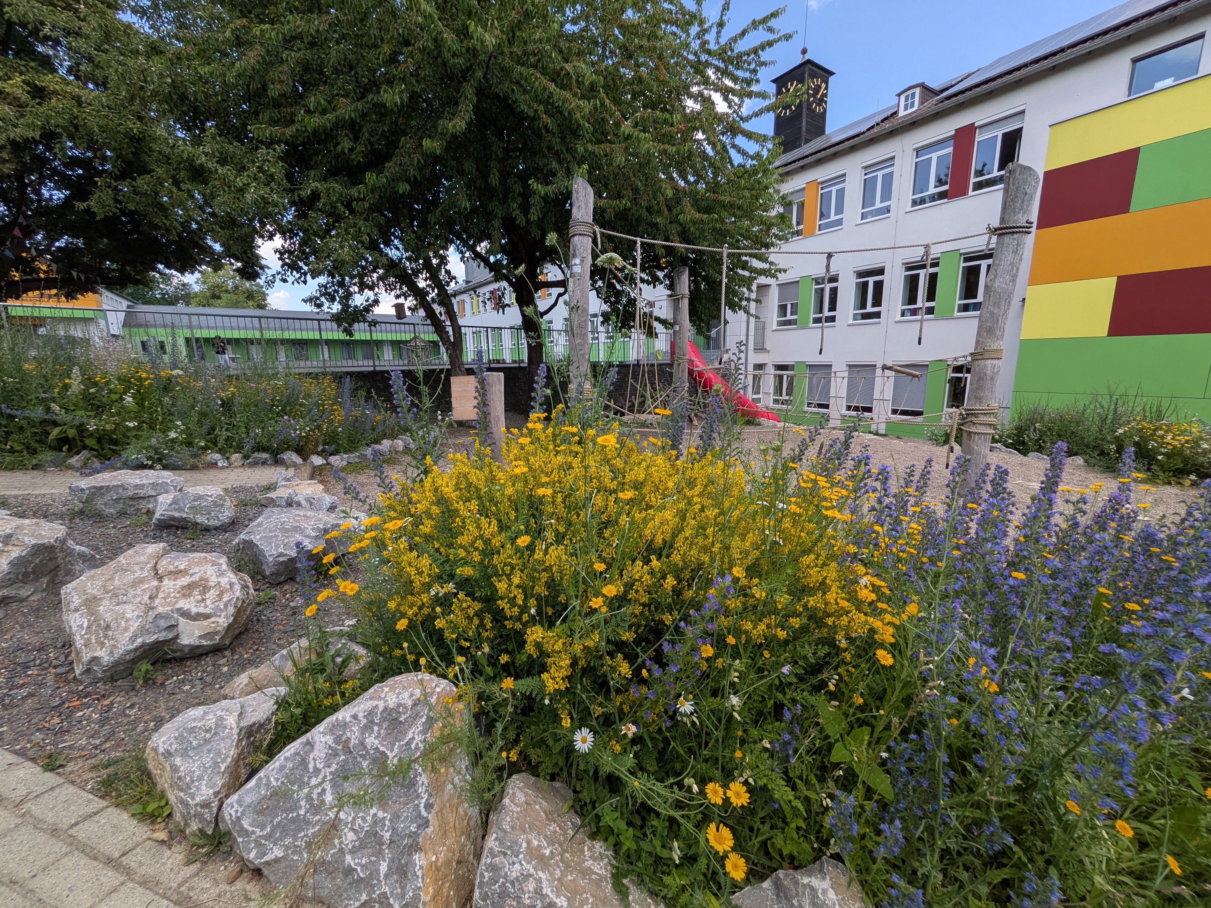 Naturnahe Gartengestaltung an der Stellbergschule