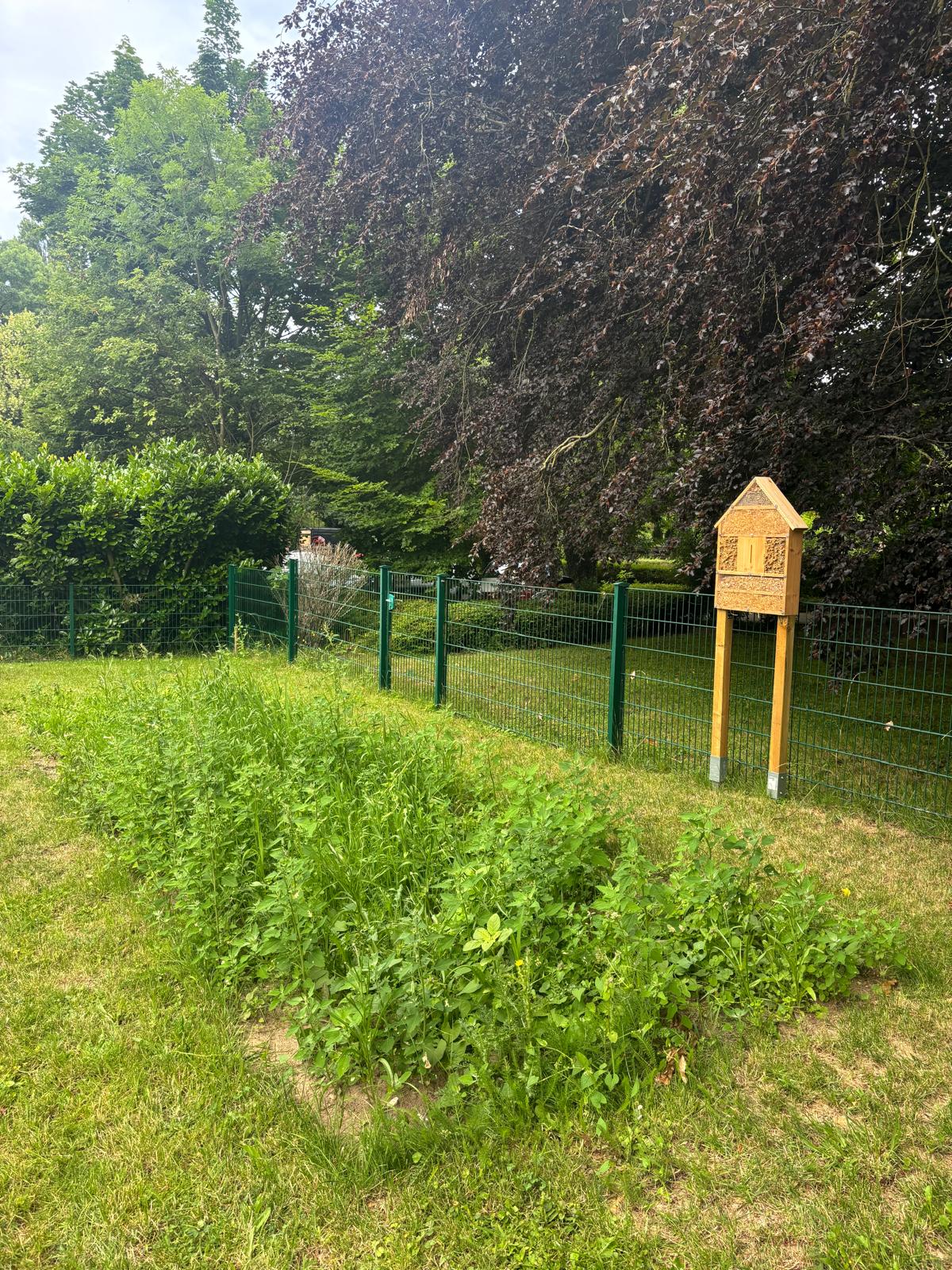WIldblumenwiese und Insektenhotel / Firma Underberg