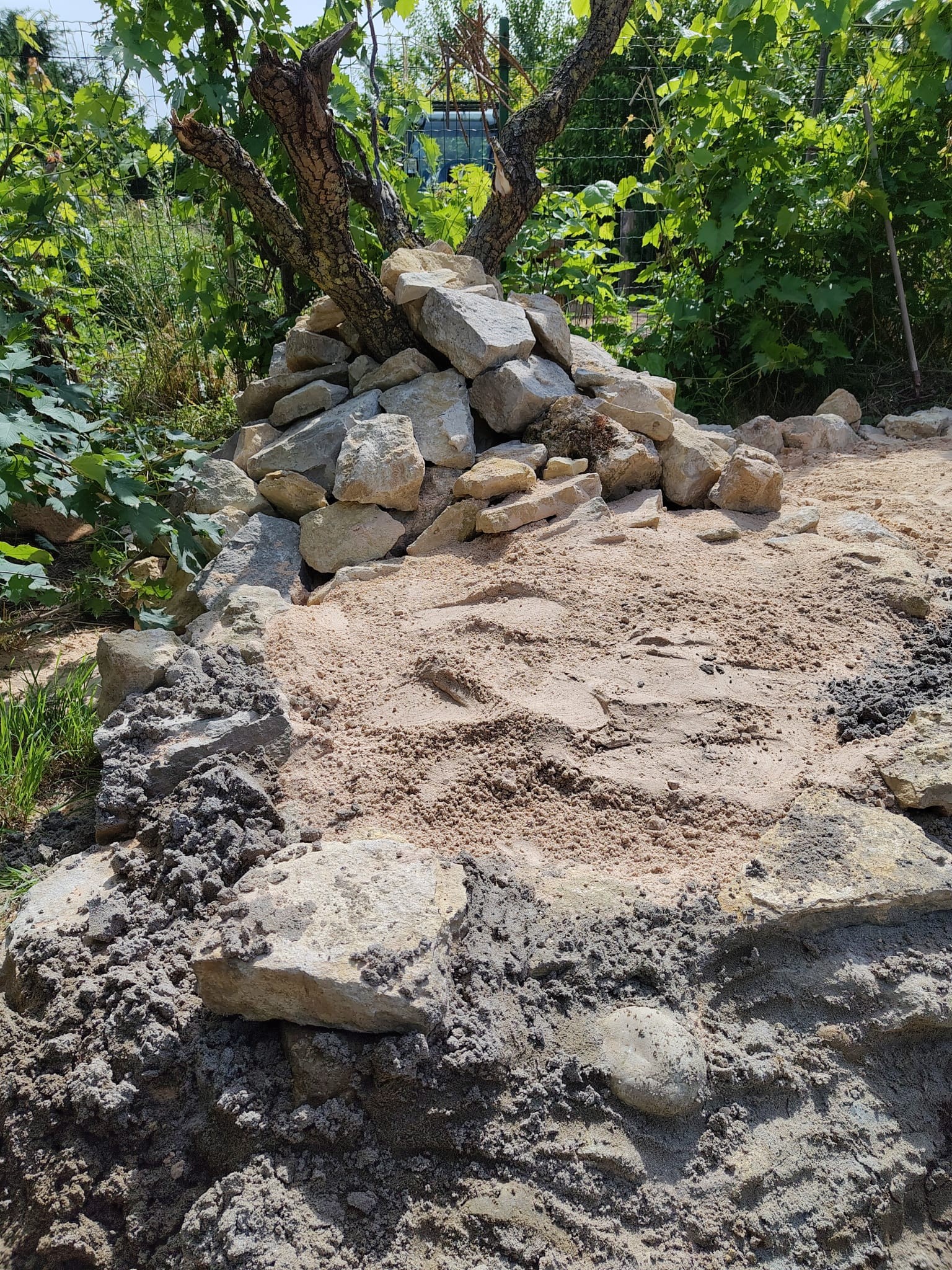 Natur-im-Garten