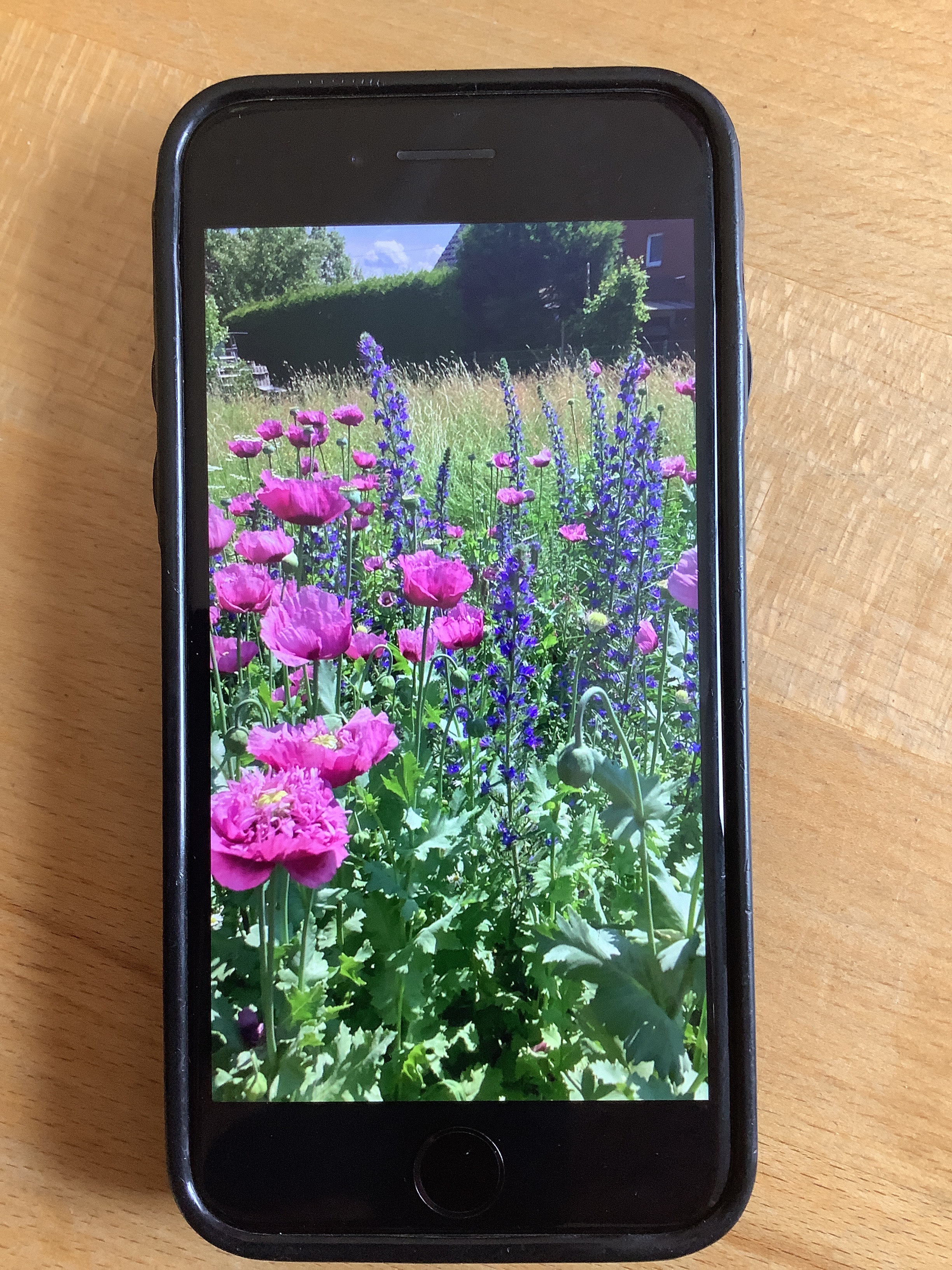 Mein Baum-Sträucher-Blumen-Streifen
