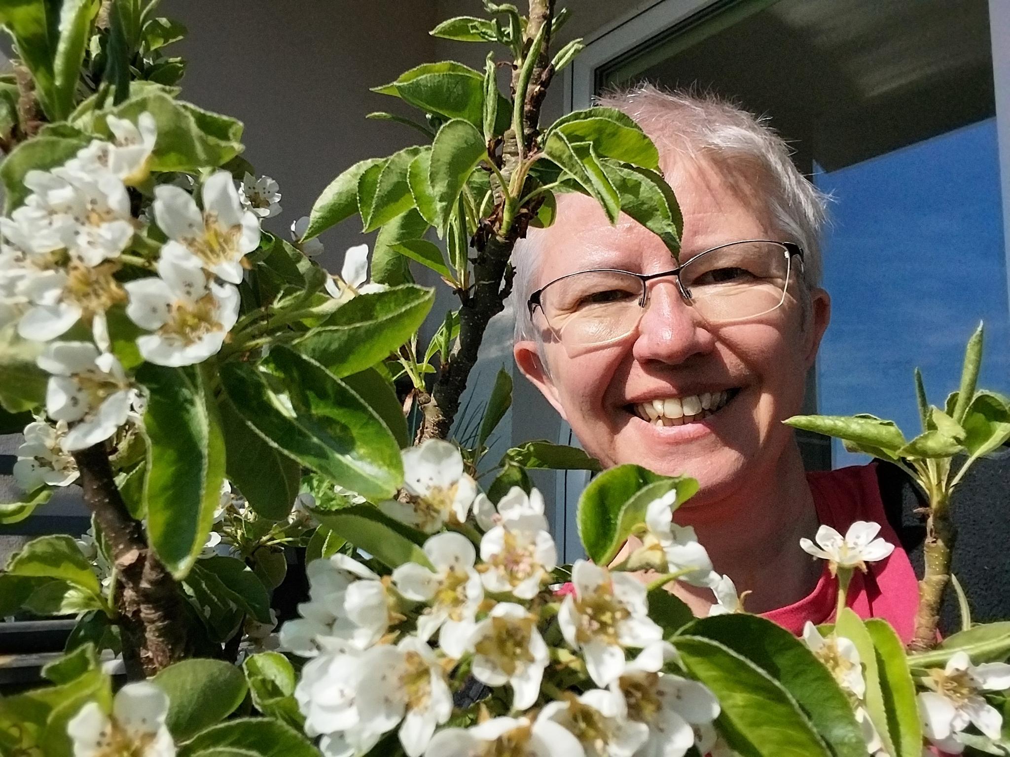 Bienenfreundlicher Balkon