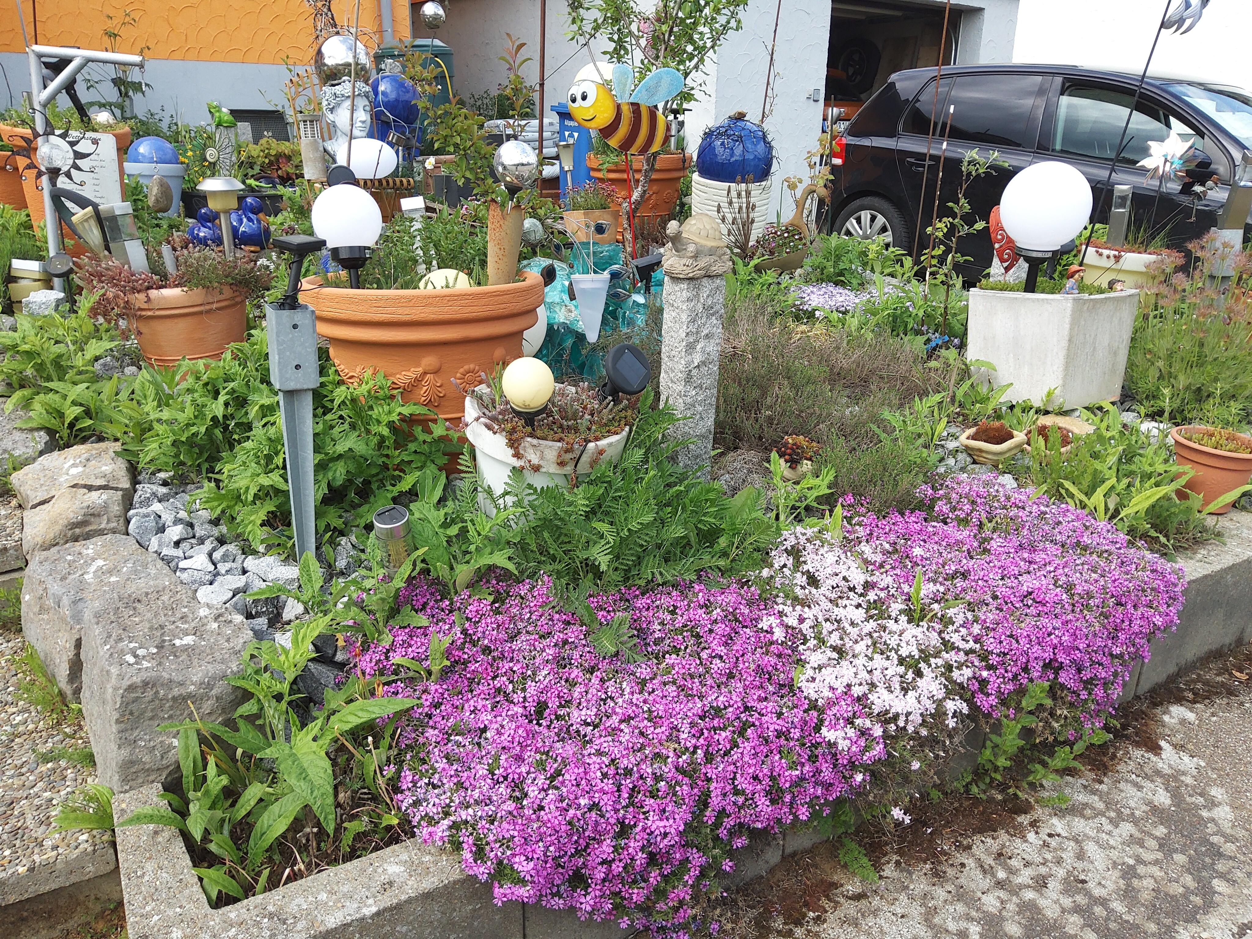 Aus einer Schotterwüste wurde eine Wildblumenwiese