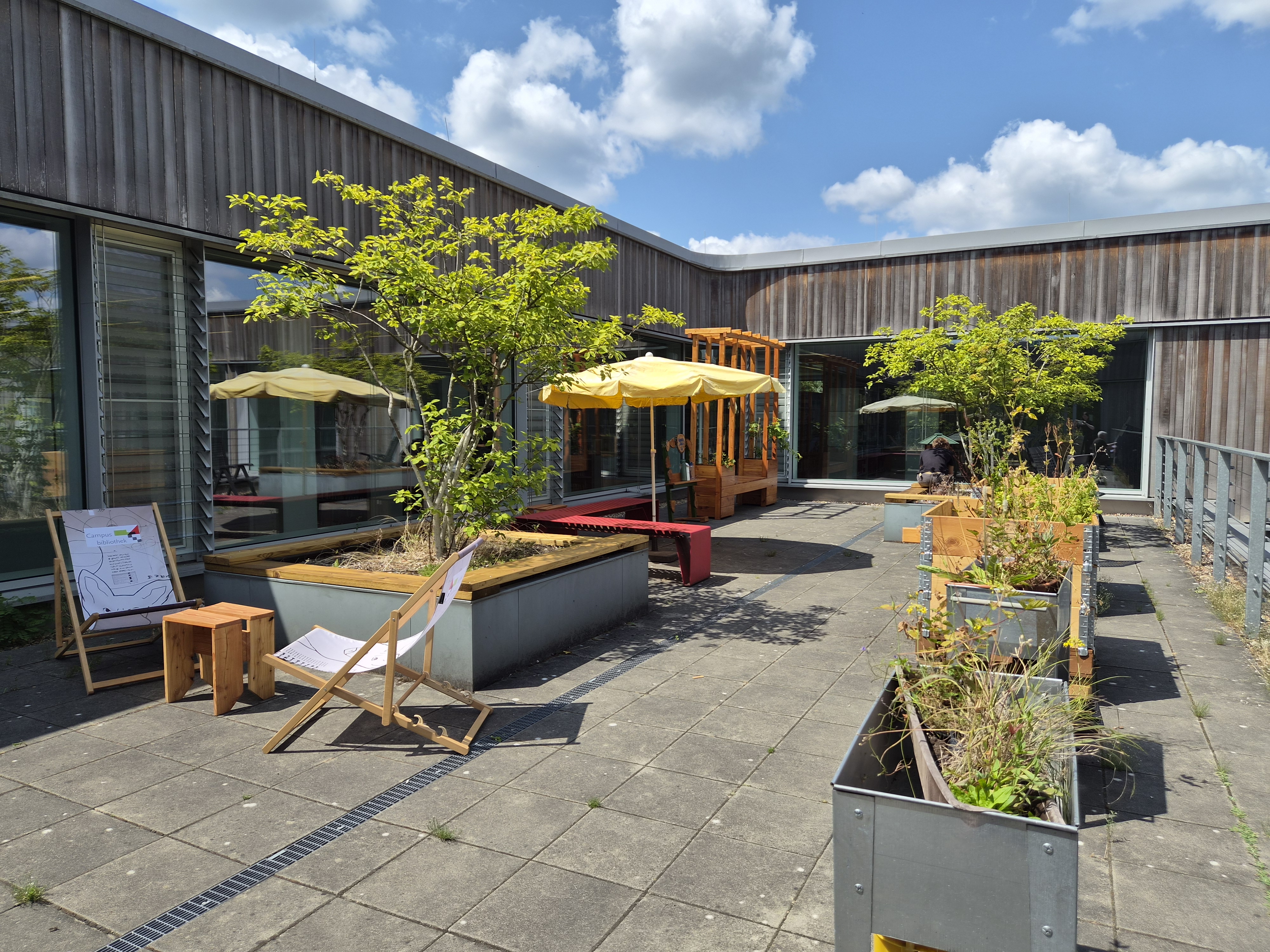 Bib-Terrasse wird endlich grün!