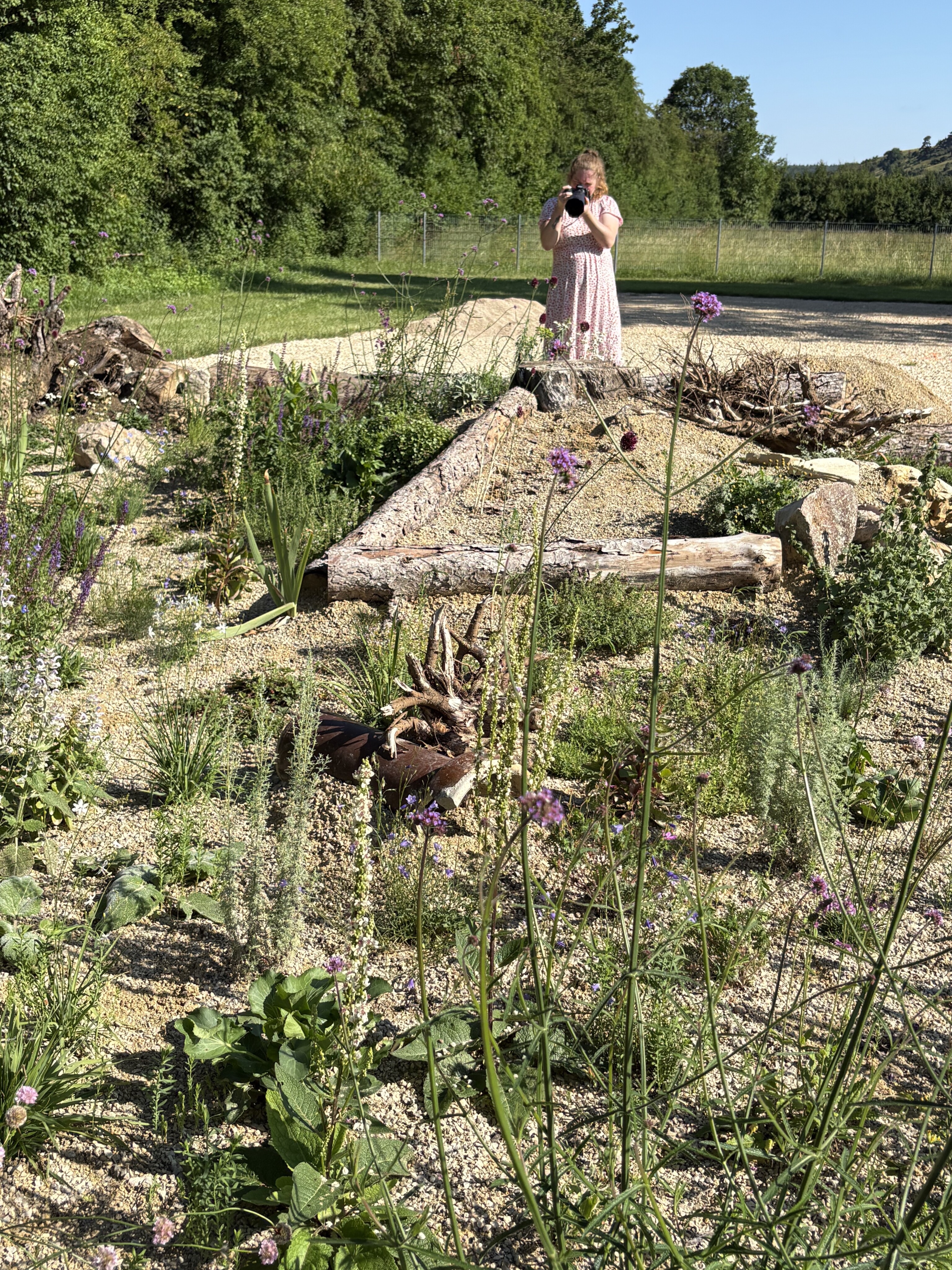 Biodiversitätsaum im Zukunftsgarten