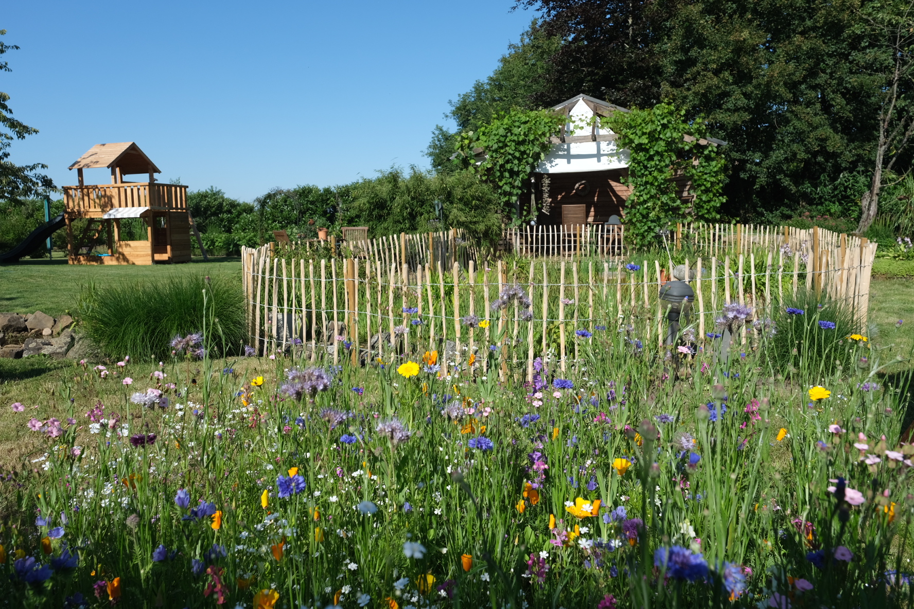 Matschen, Naschen, Summen – unser naturnaher Familiengarten