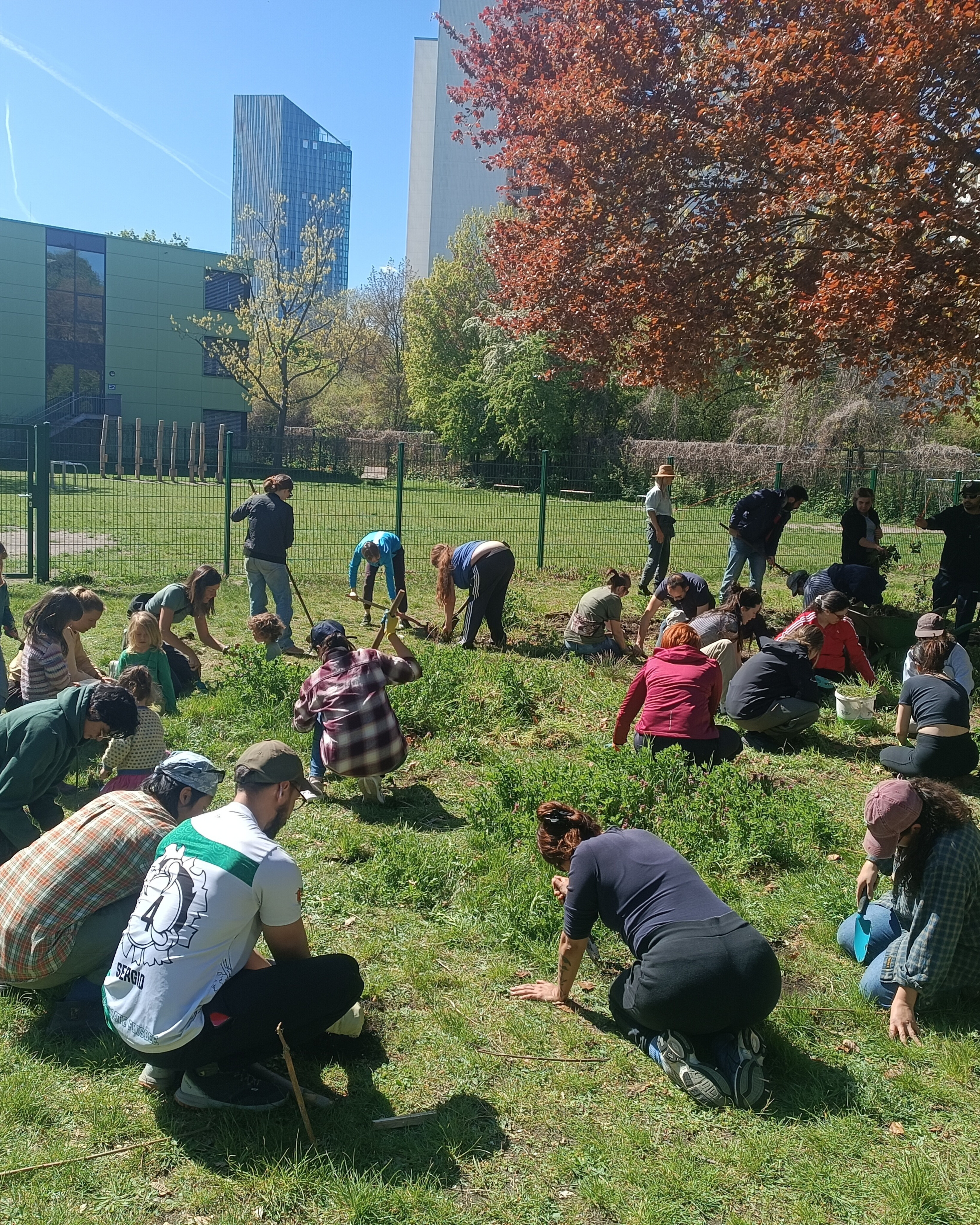 "Butterfly Garden: an urban habitat for bioviersity and commmunity learning"