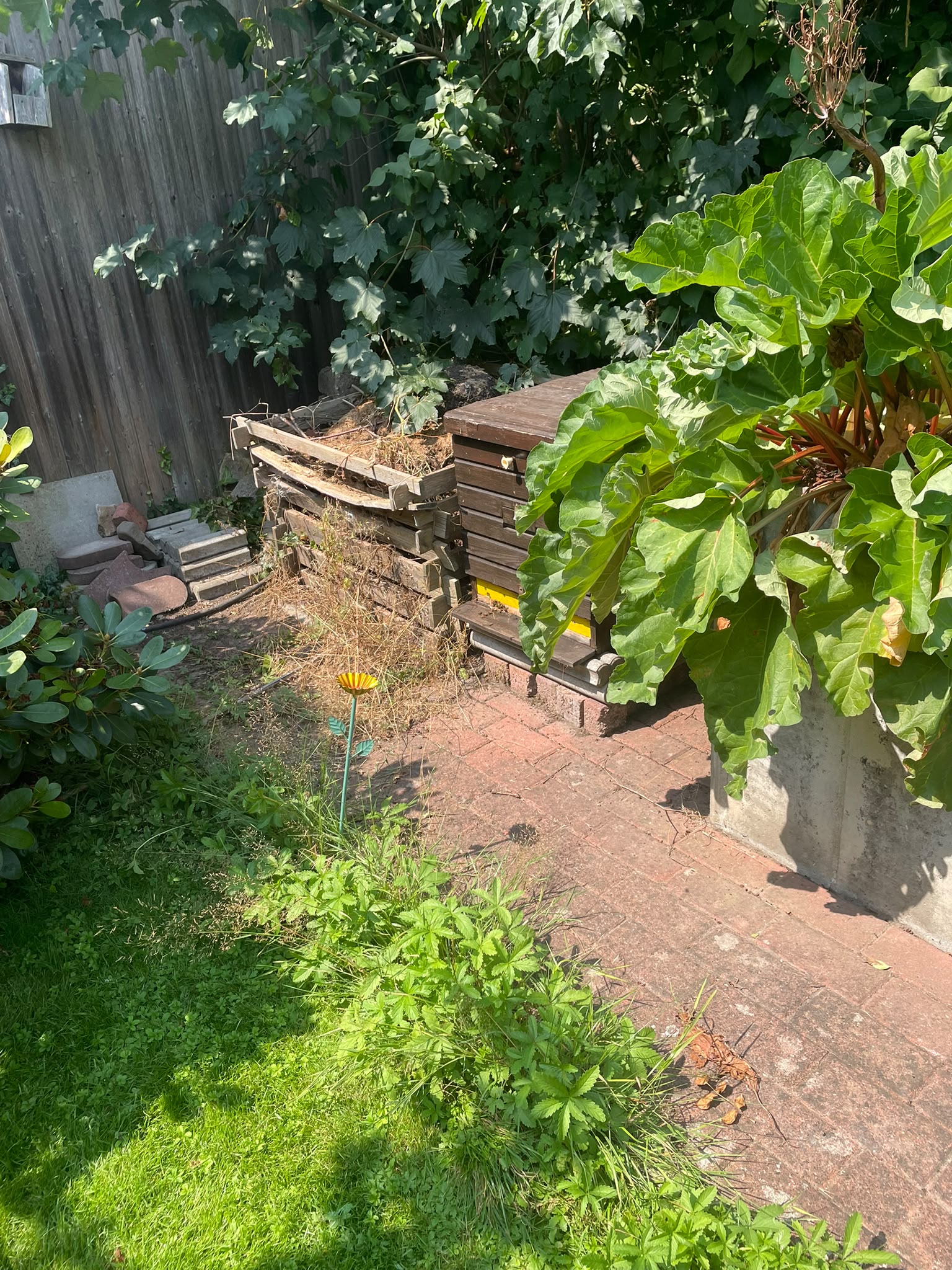 Mein Bienen- und Schmetterlingsgarten