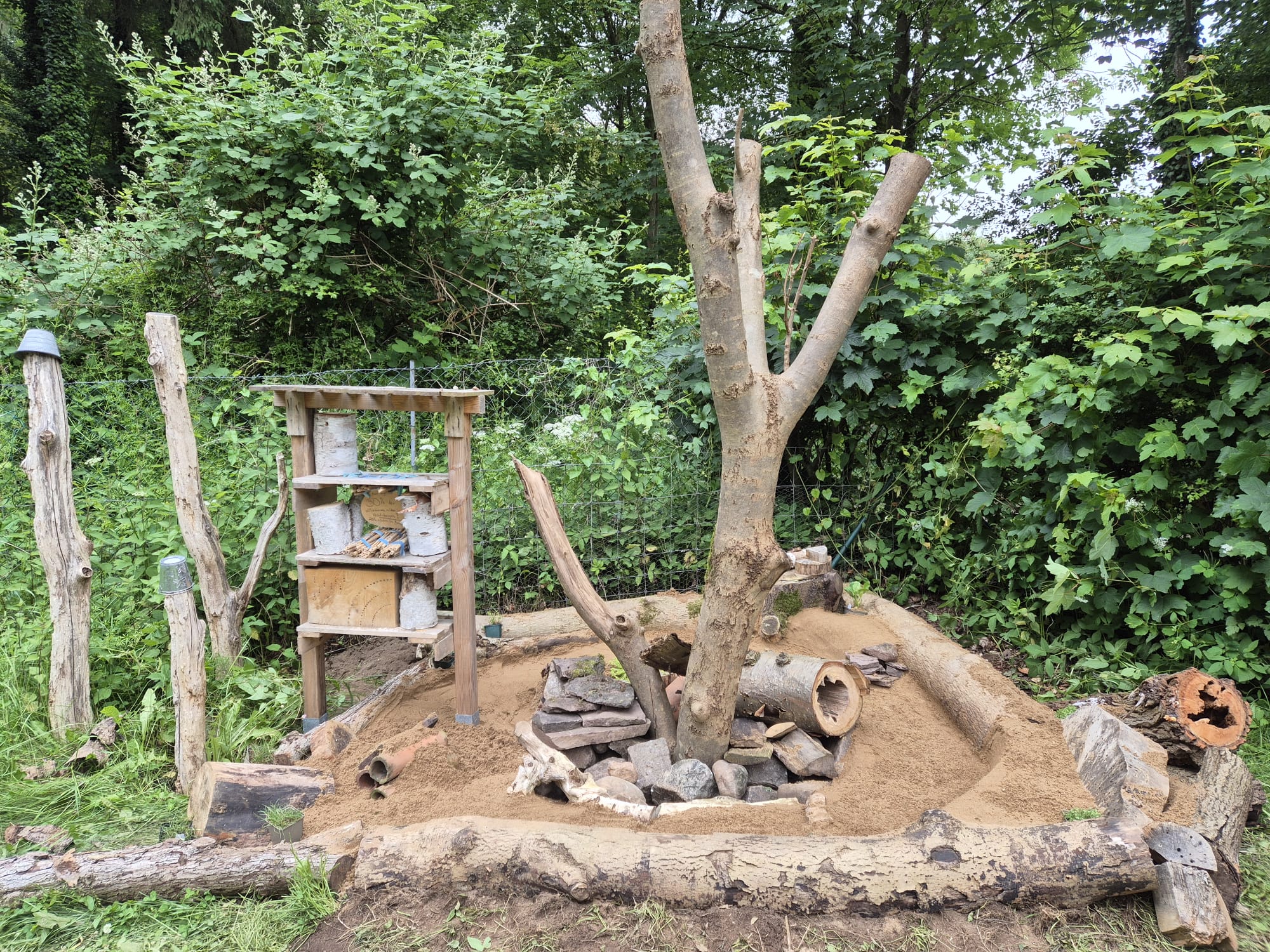 Unsere Drachenburg – ein Zuhause für Bienen, Insekten, Eidechsen und Schlangen