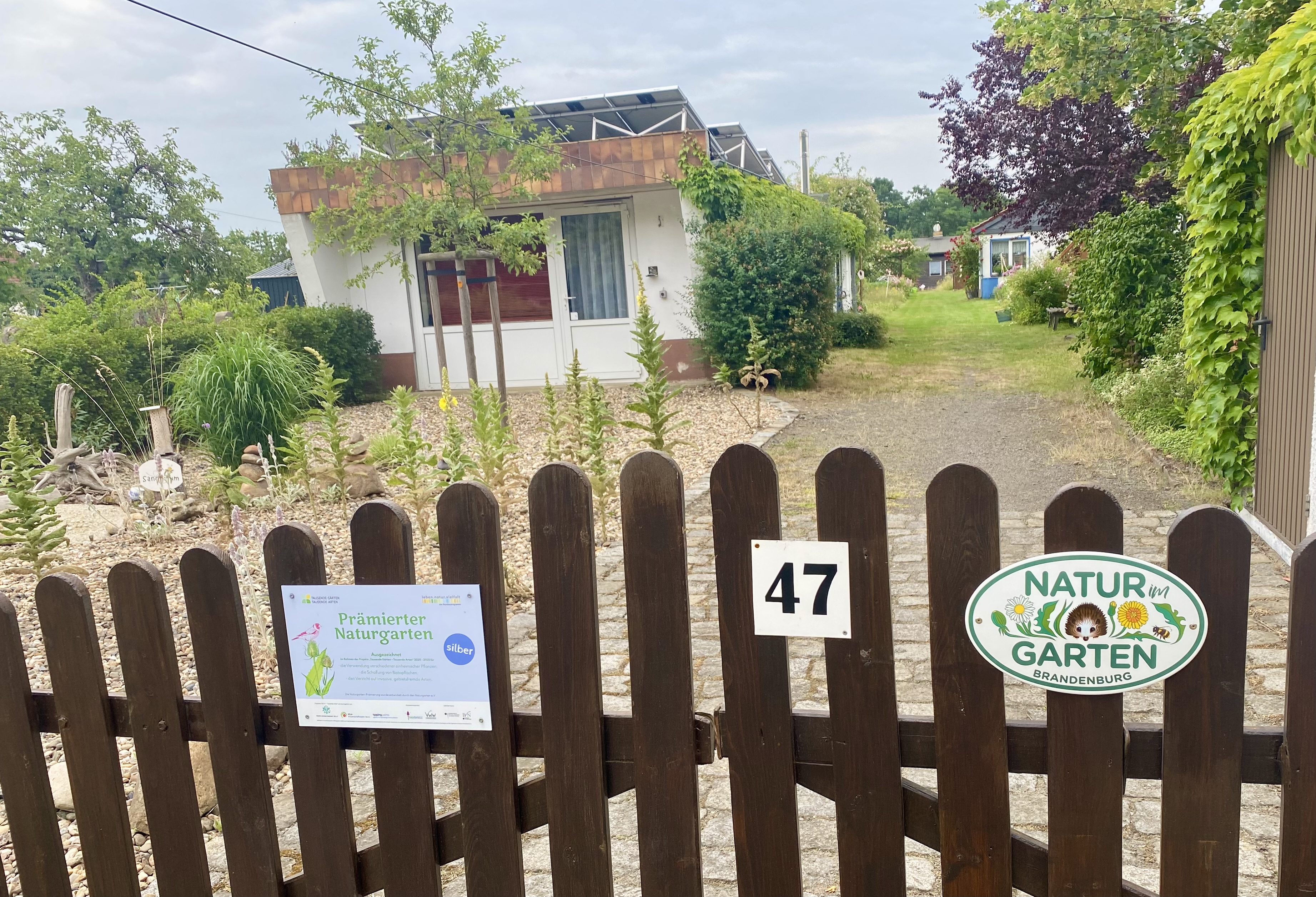 Naturgarten mit vielen Wildpflanzen, Wildbienen und blühenden Wiesen