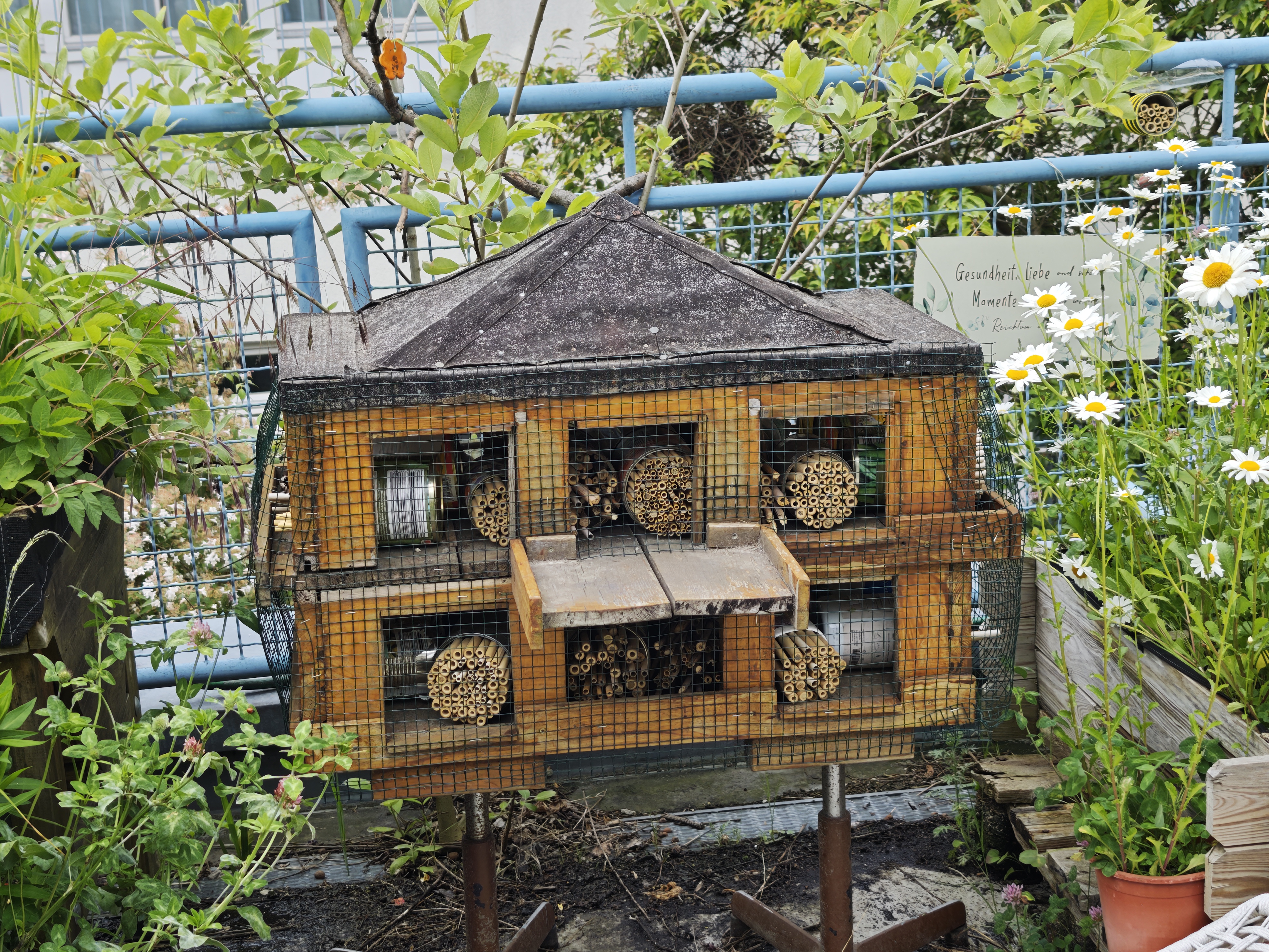 Wild und bunt – unser Pappelhof summt jetzt noch viel bunter und wilder