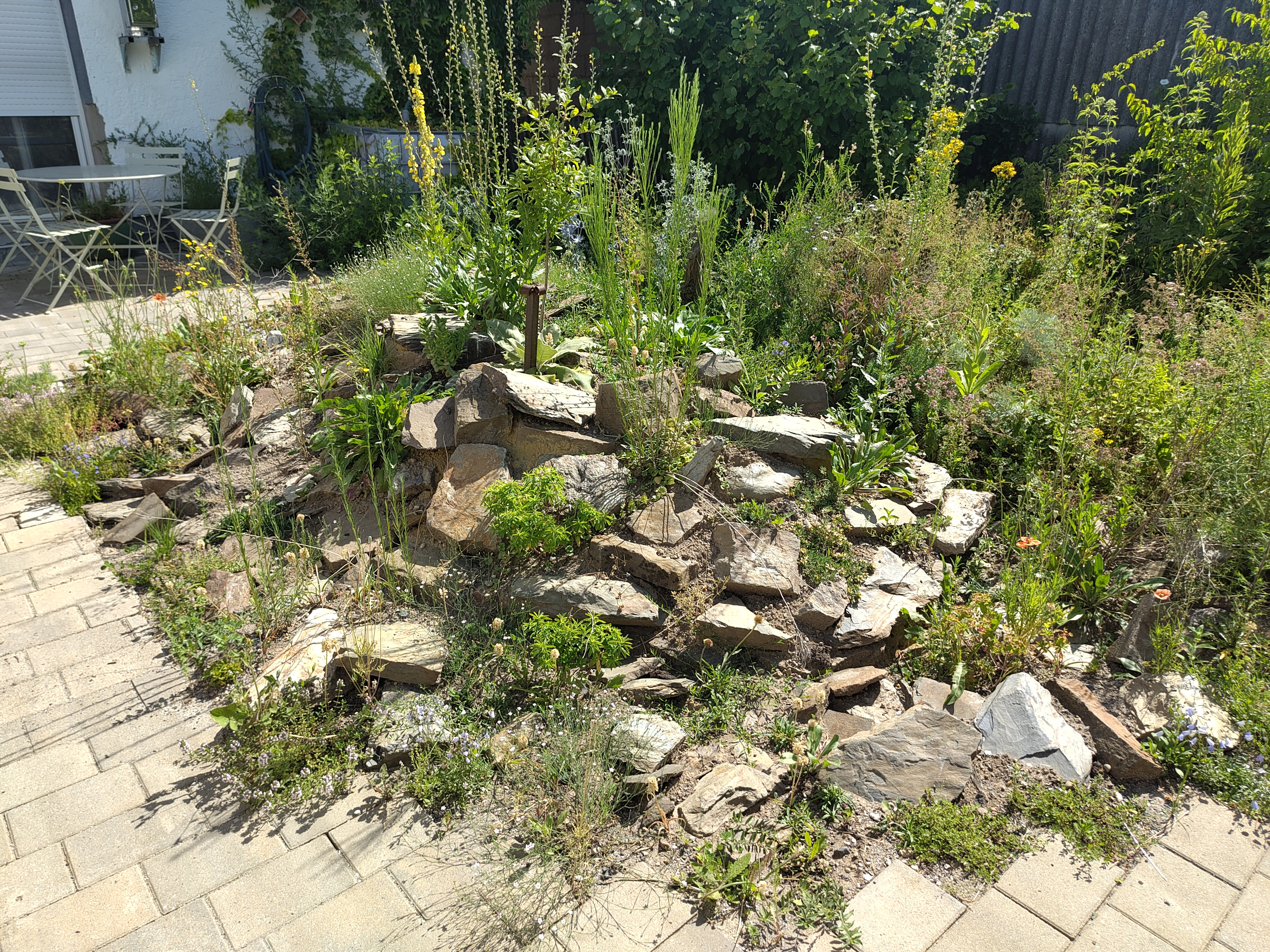 Improvisiertes Hügel-Magerbeet an der Terrasse