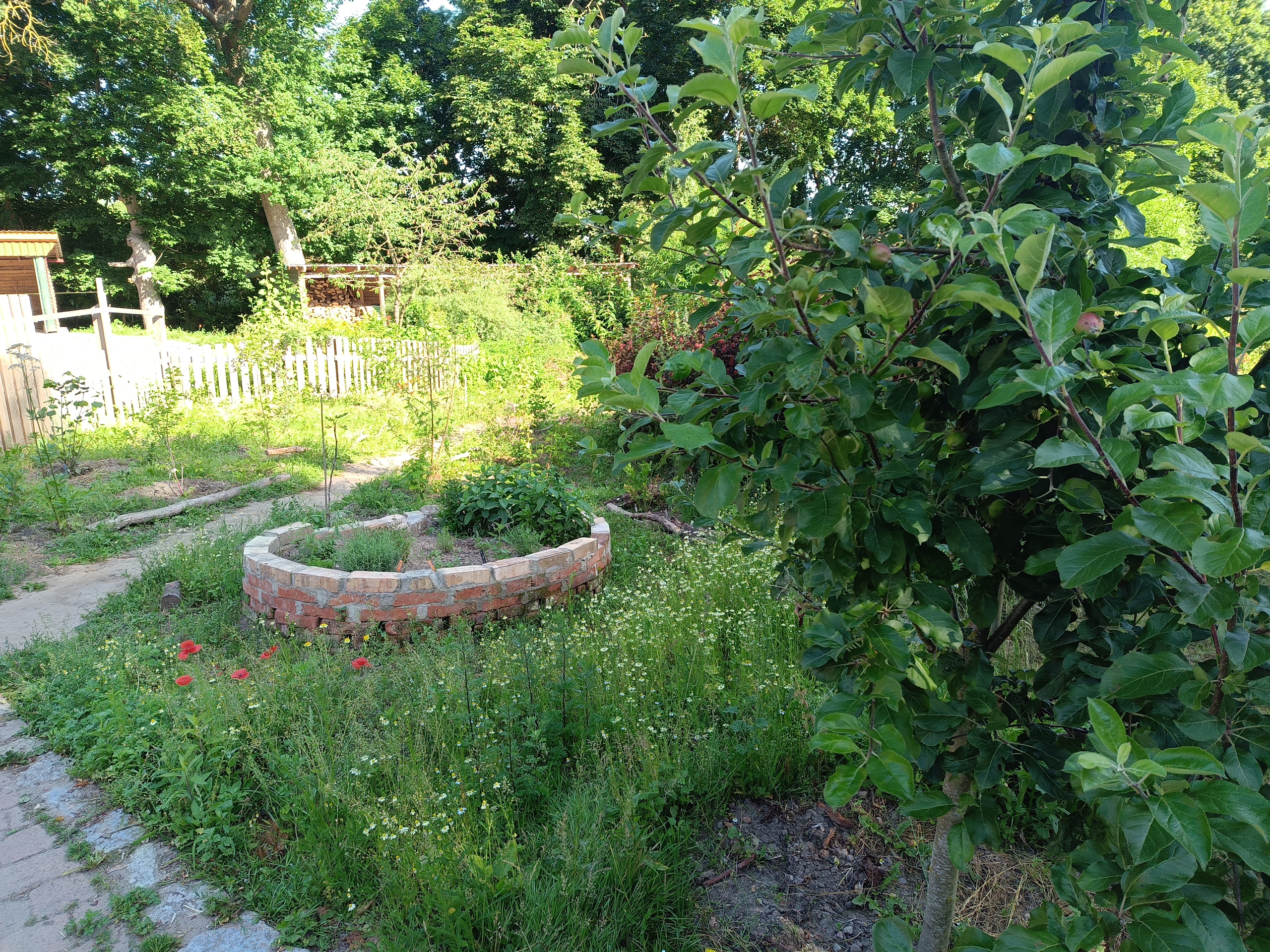 Ein Nasch- und Duftgarten für die Kita Weidenbaum