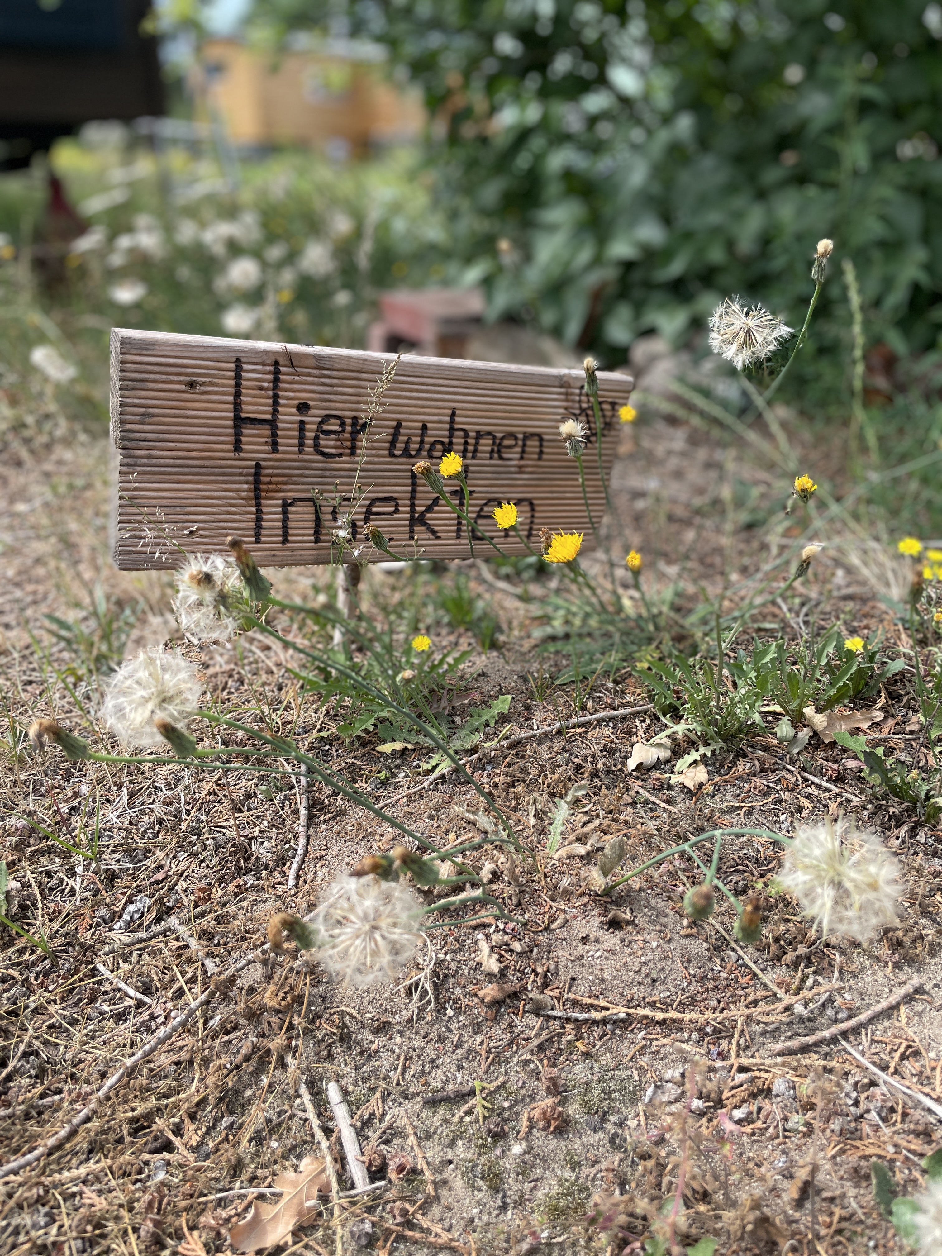 Tinyhouse Garten
