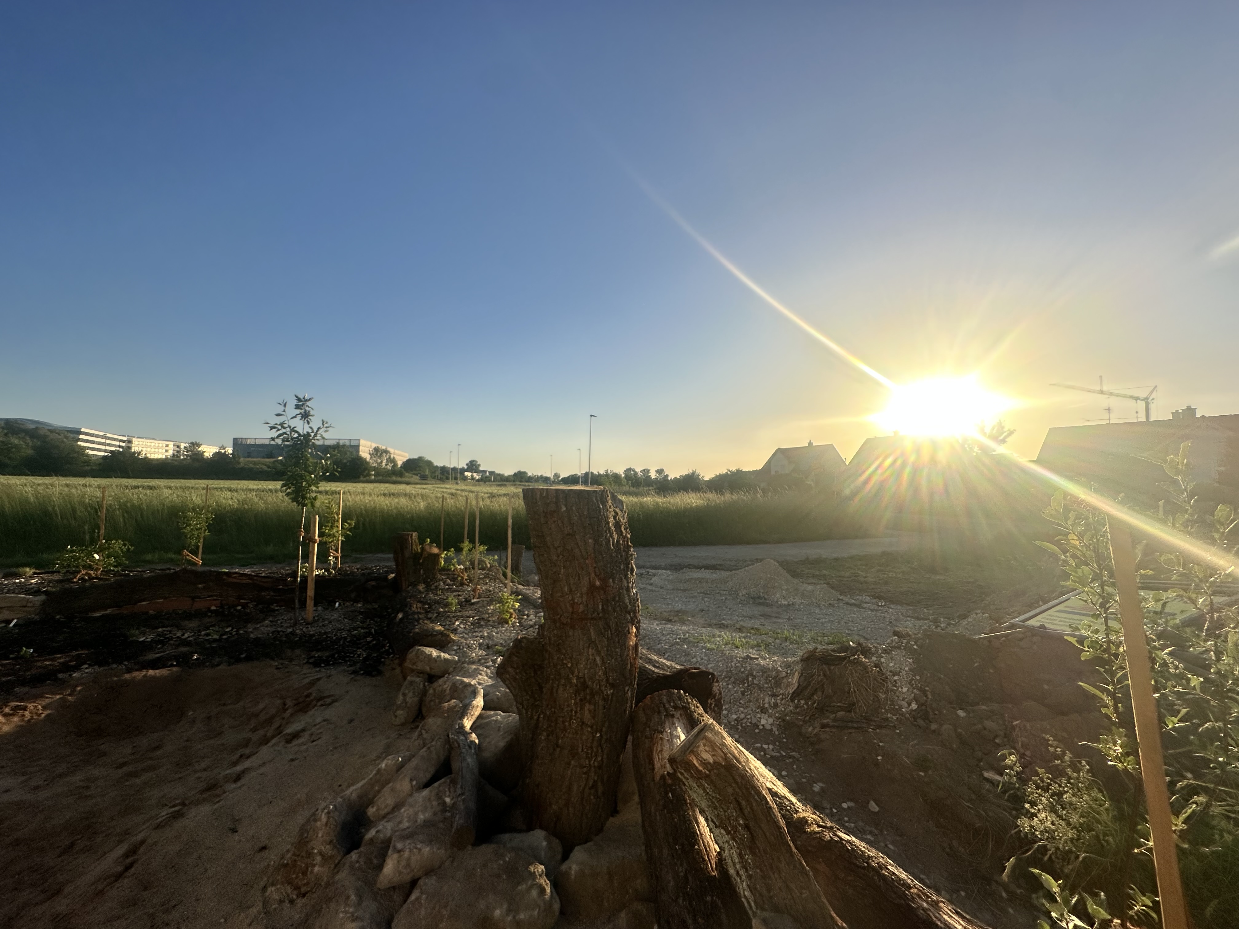 Familie Fechners Naturgarten