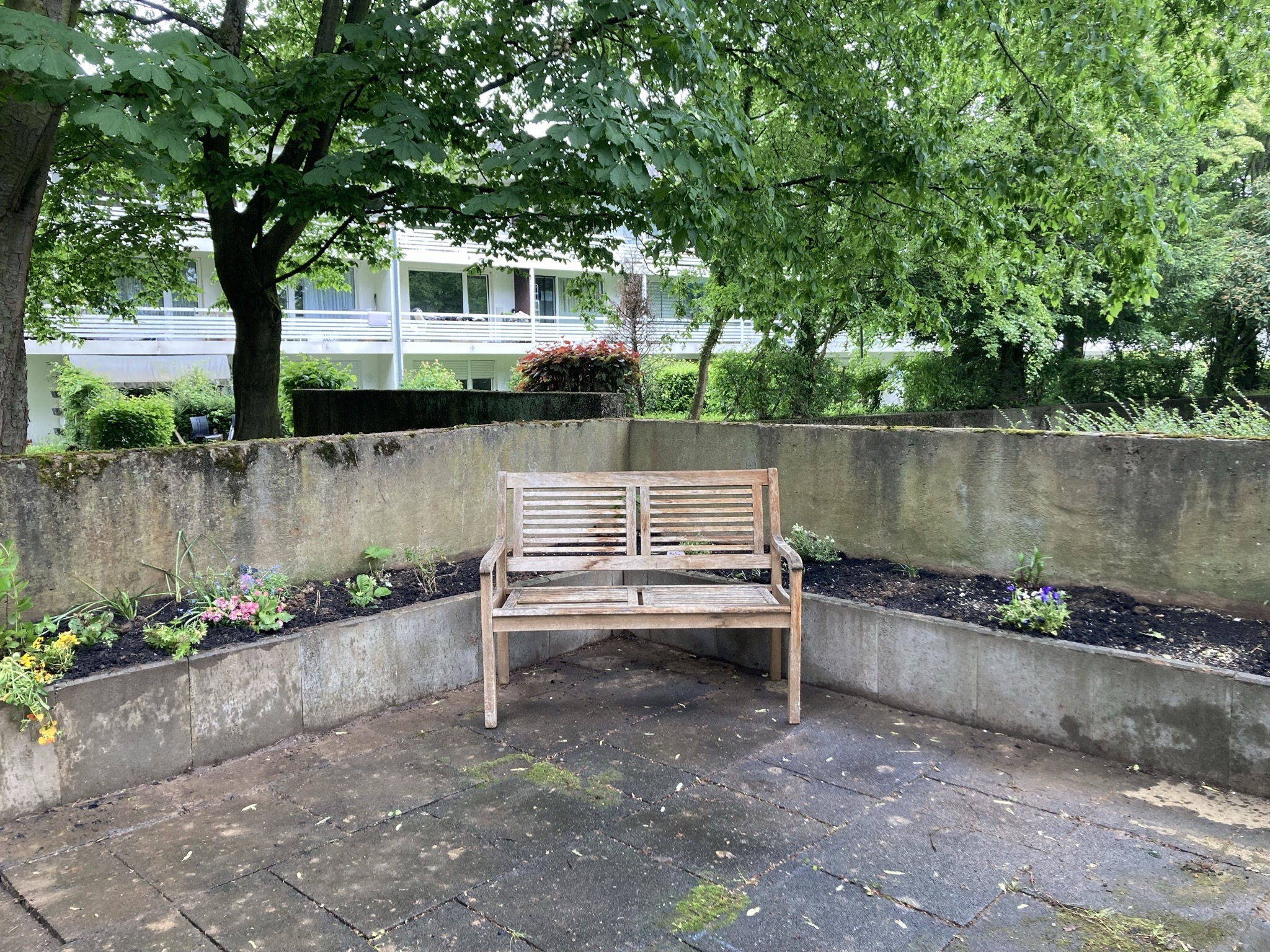 Gemeinschaftsgarten aus geretteten Pflanzen
