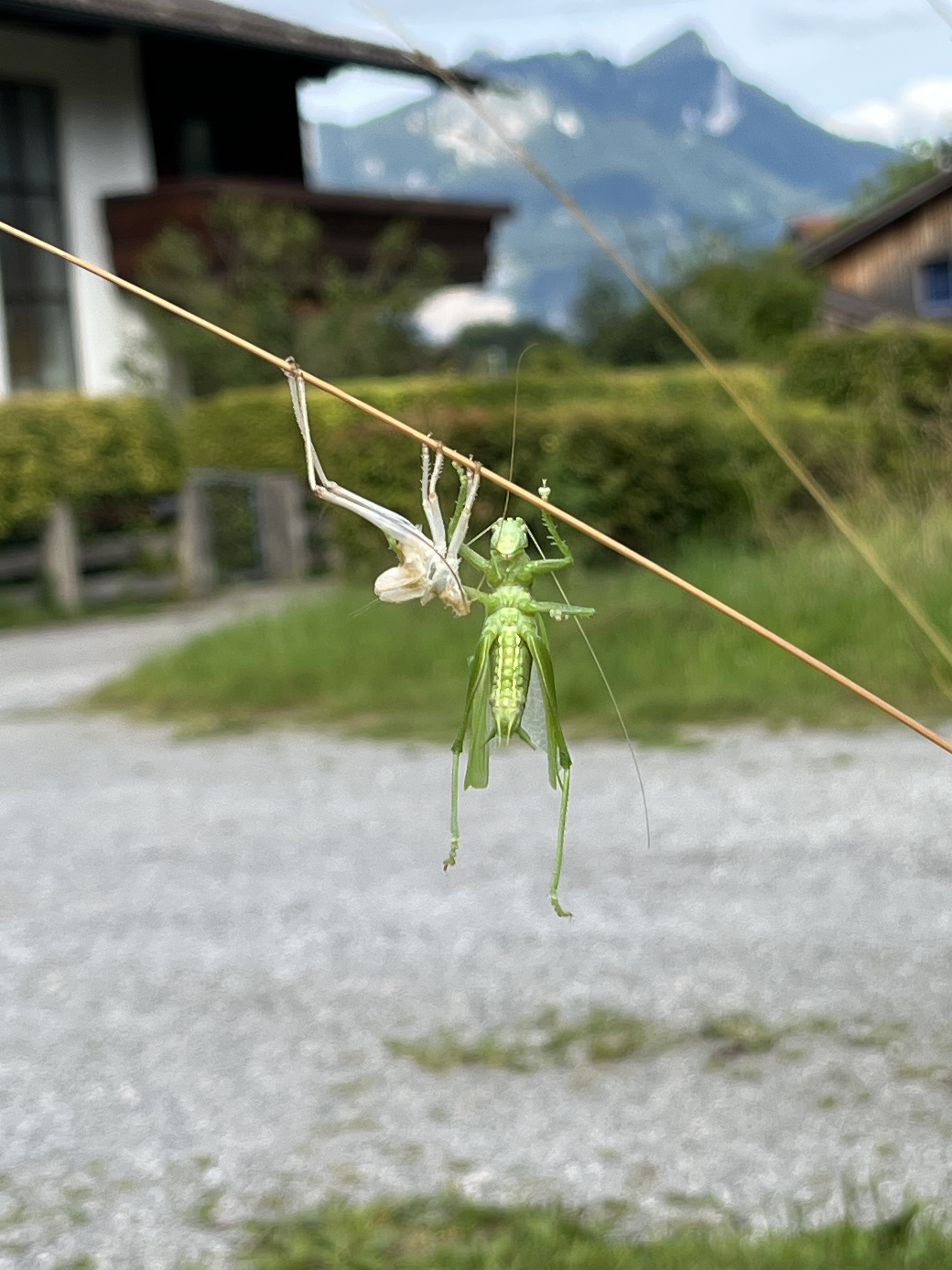 Ein Garten zum Abhängen für die heimische Tierwelt und die ganze Familie