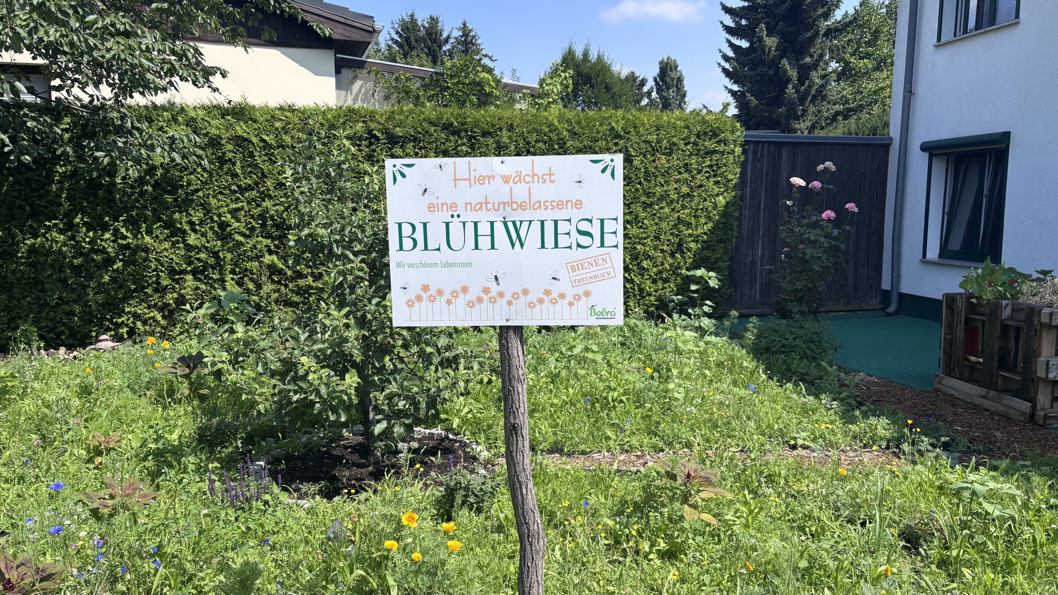 Mehr Biodiversität in unserem Firmengarten