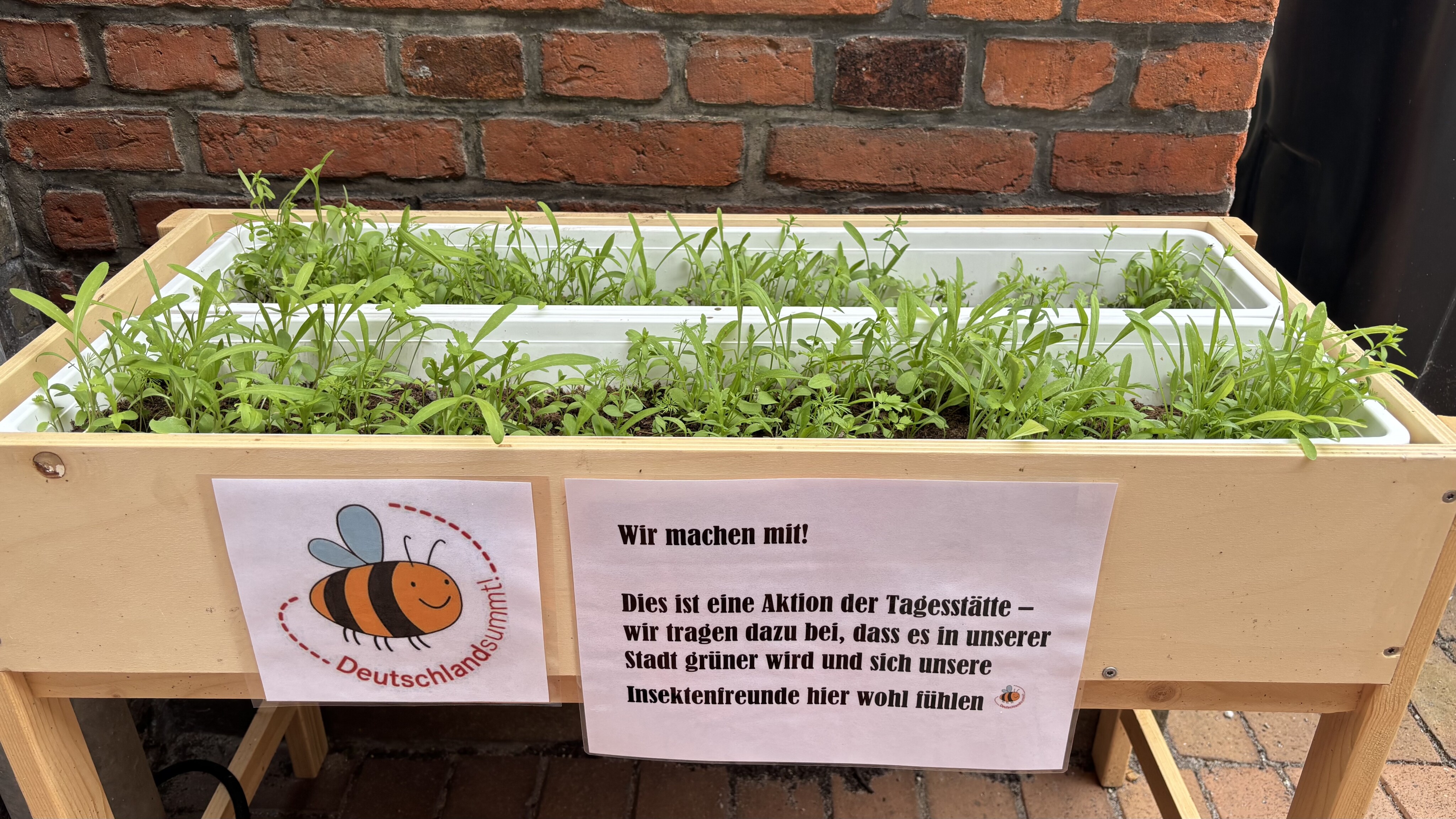 Wo Bienen summen und Menschen aufblühen