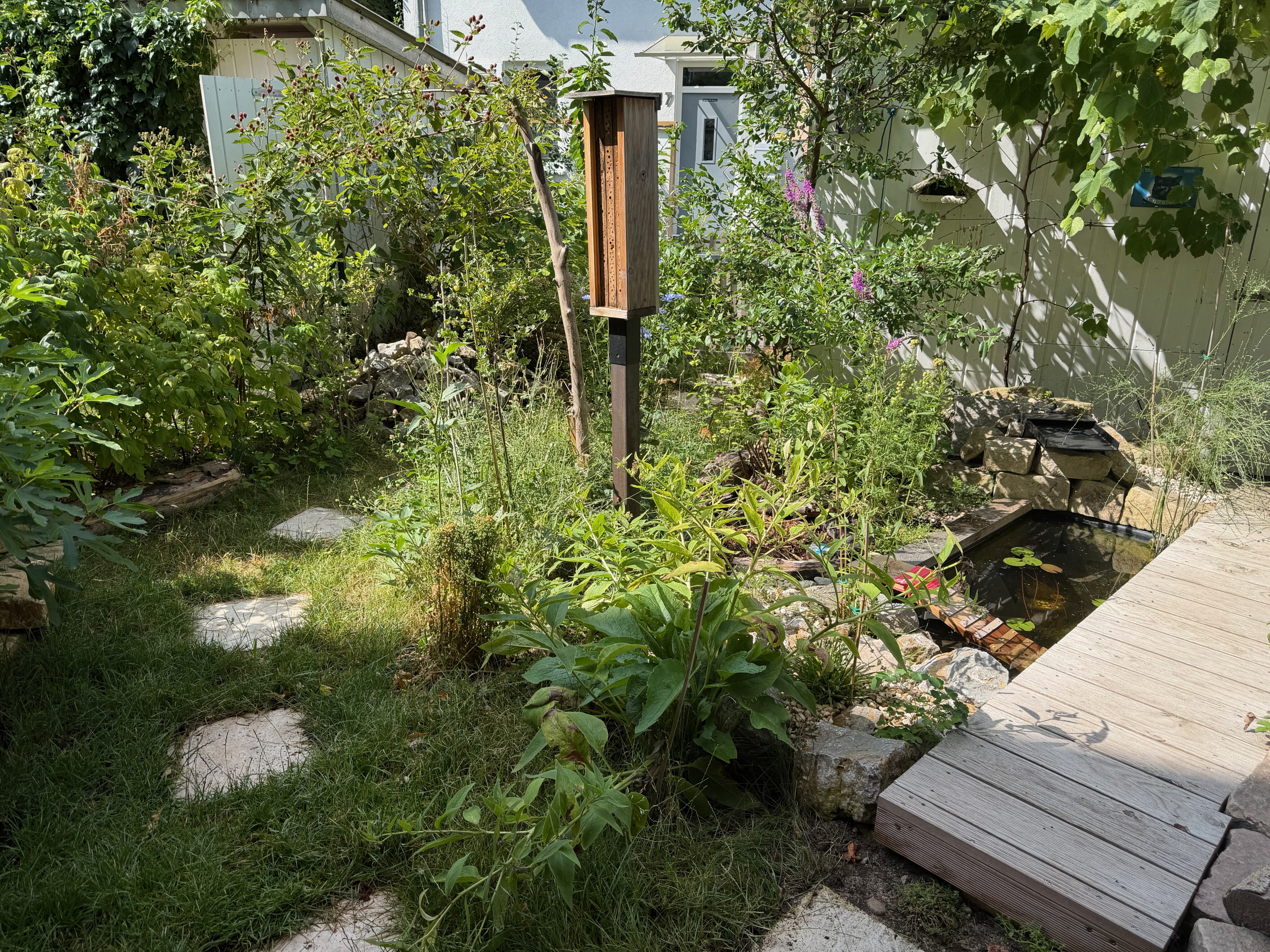 Naturgarten im Kleingarten – Lebensraum für Wildbienen, Amphibien & Co.